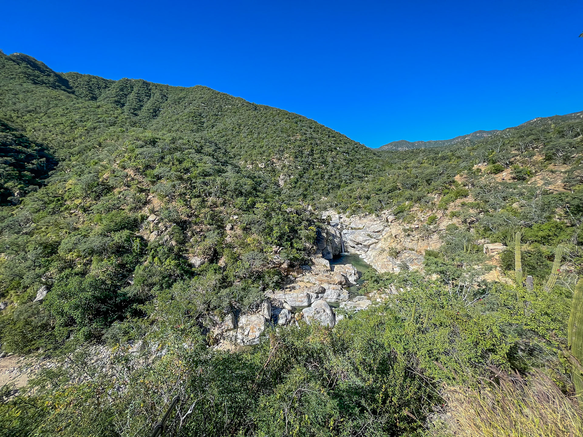 Reserva De La Biosfera Sierra La Laguna