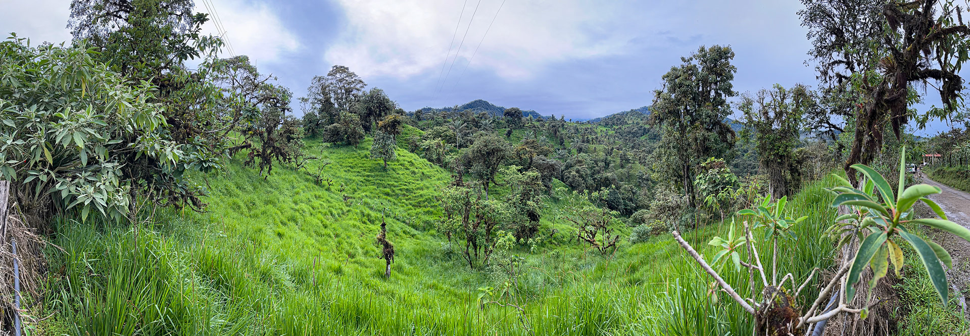 Refugio Paz de Las Aves
