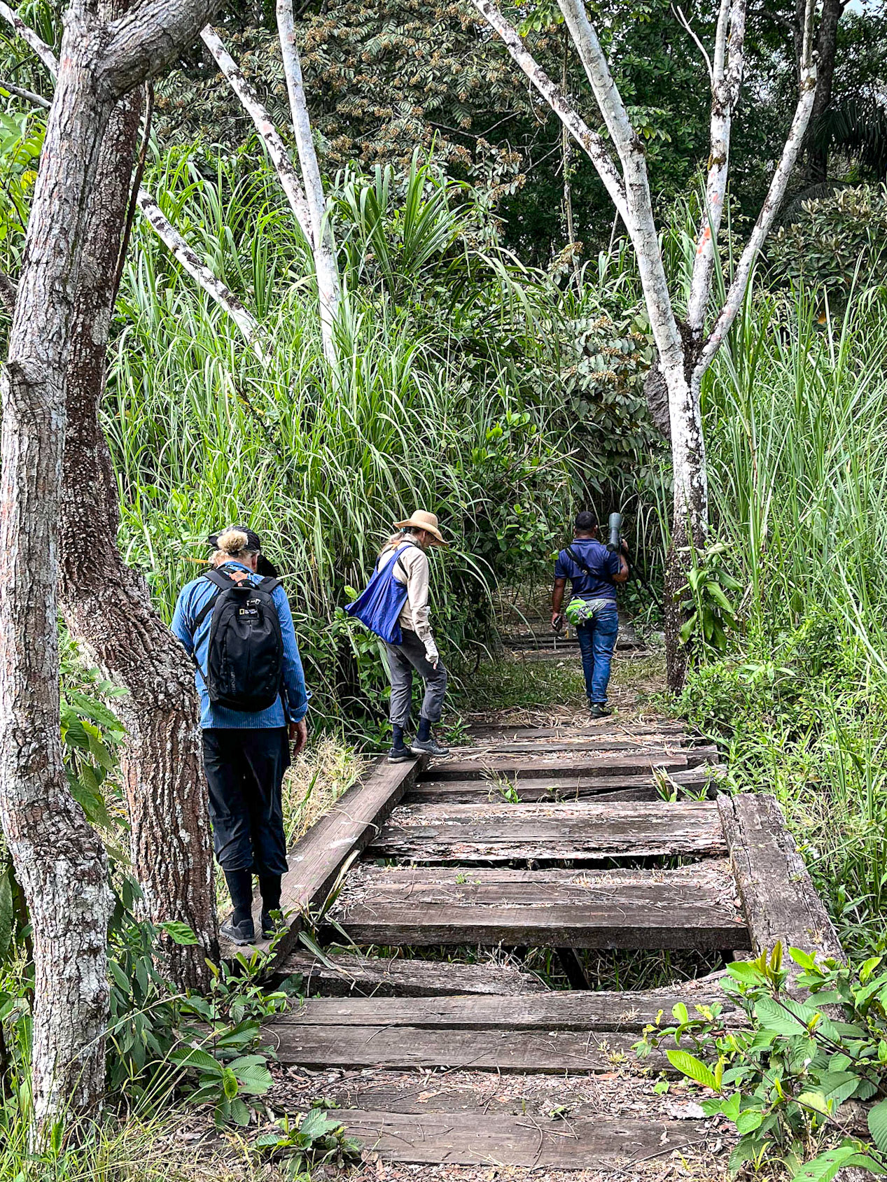 Some paths were more trecherous than others.