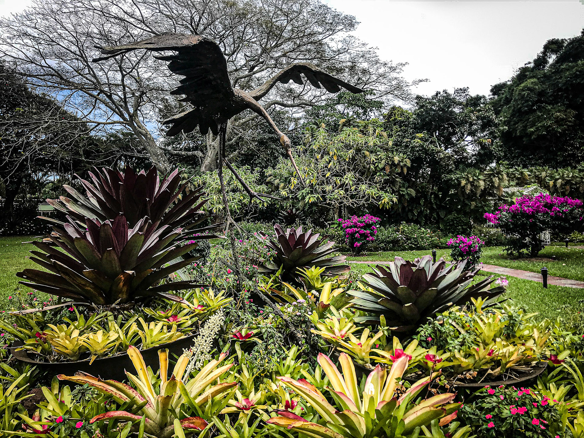 10 Acre Garden, Hotel Bougainvillea