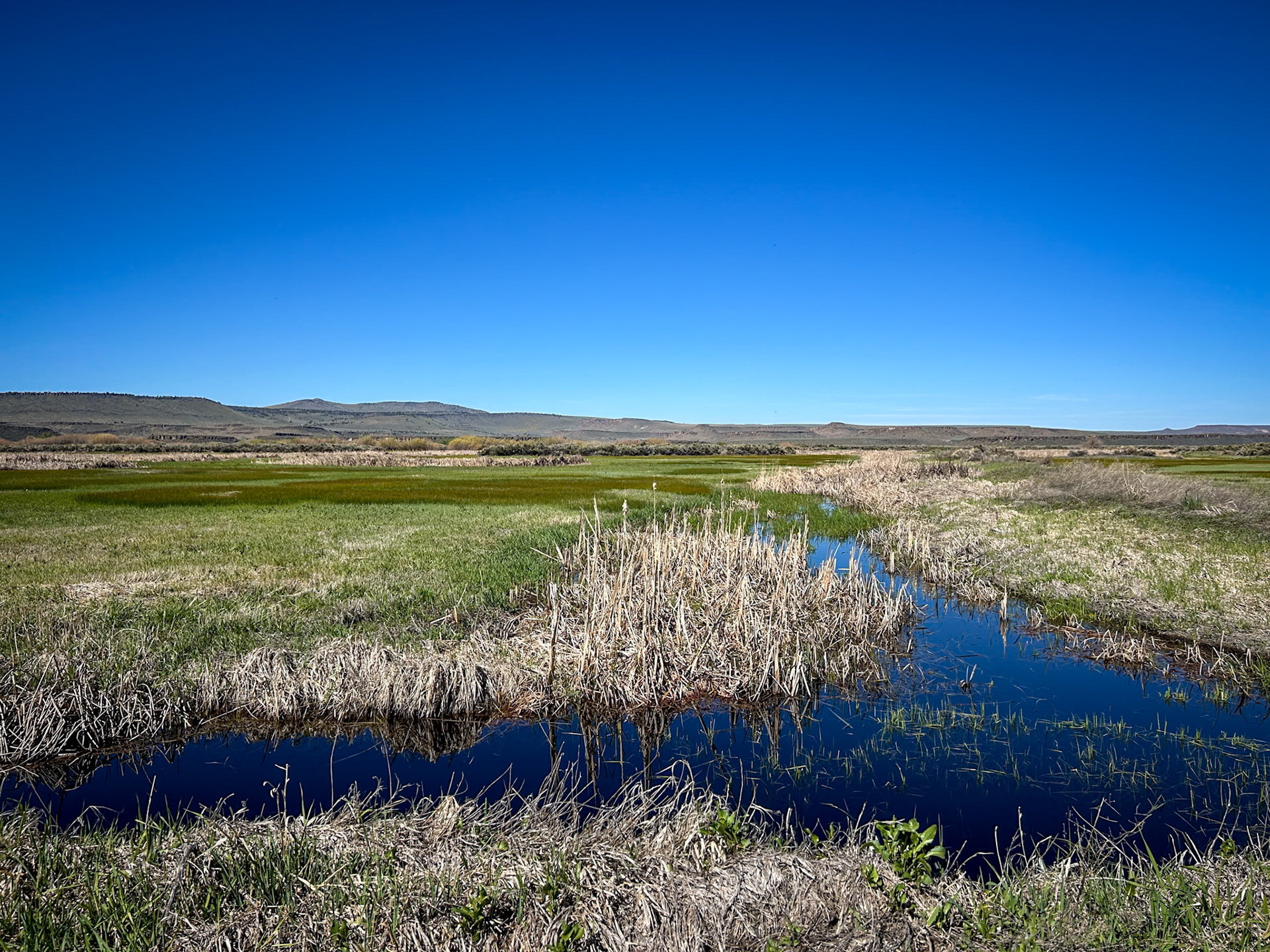 Malheur National Wildlife Area