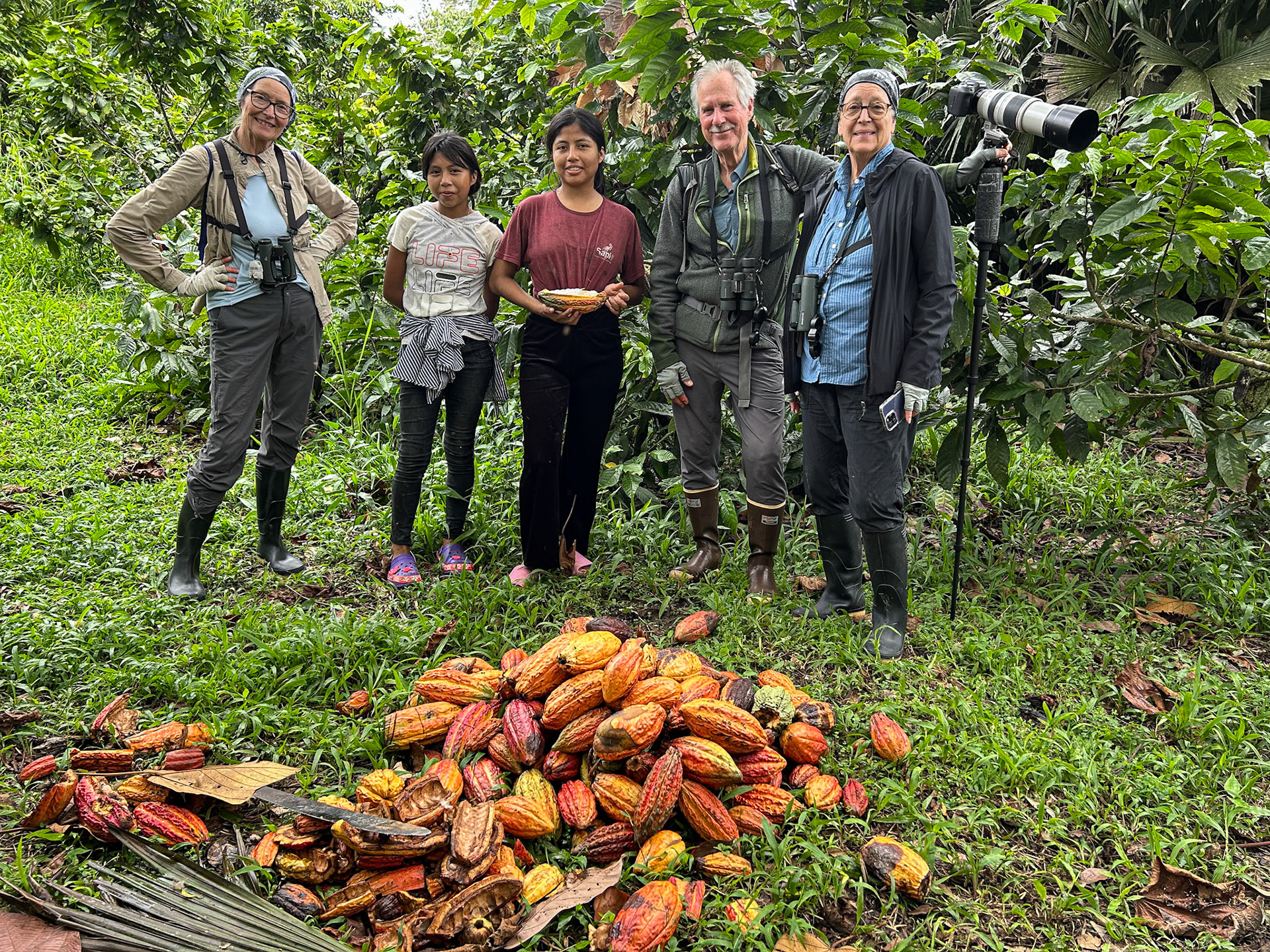 Intro to Cacao Beans
