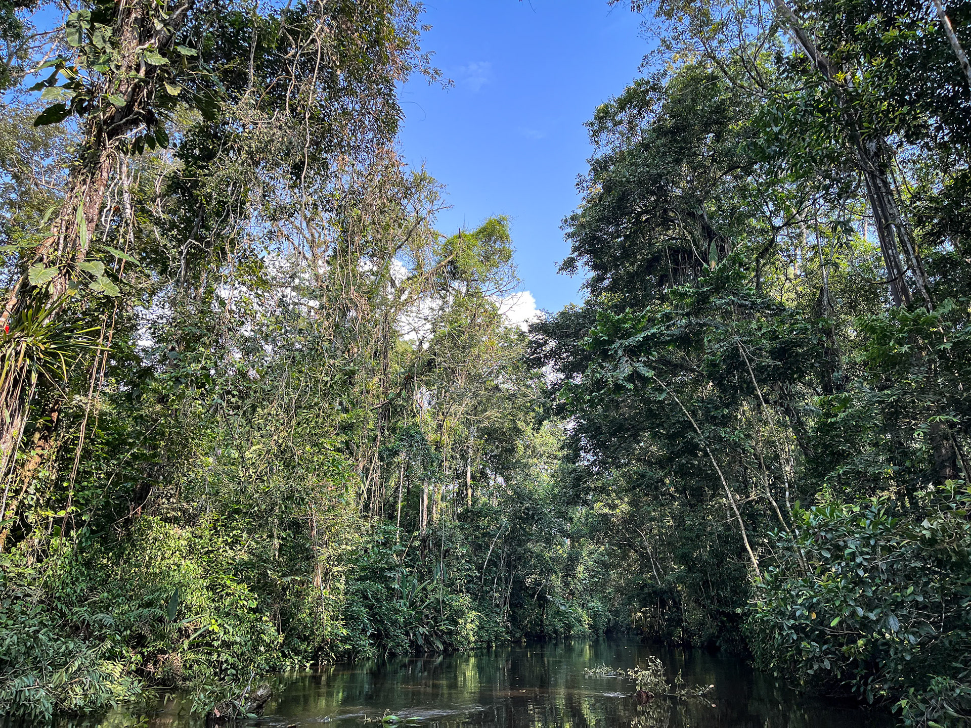 Canoe channel en-route to Sani Lodge