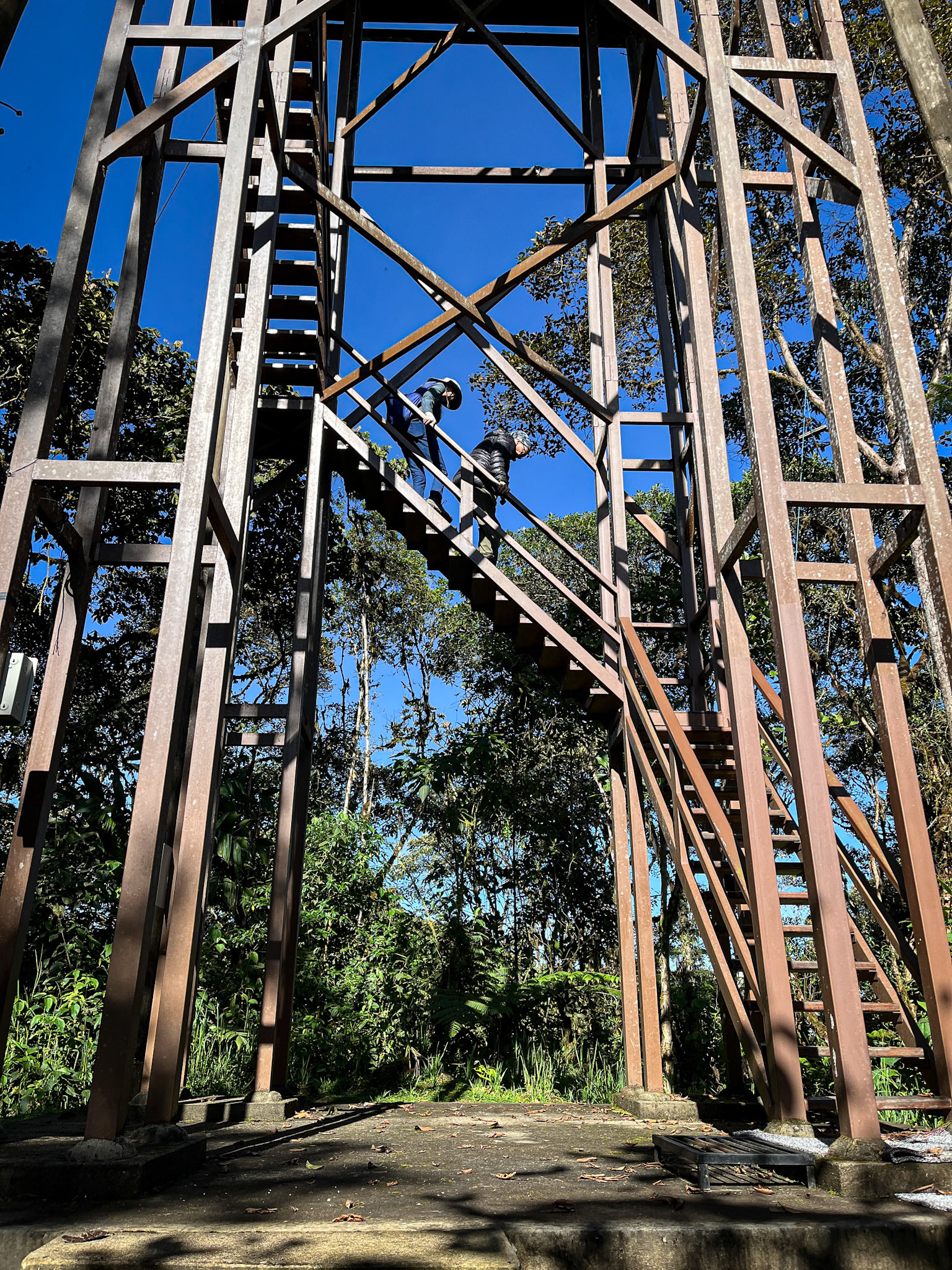 Sachatamia Lodge Tower