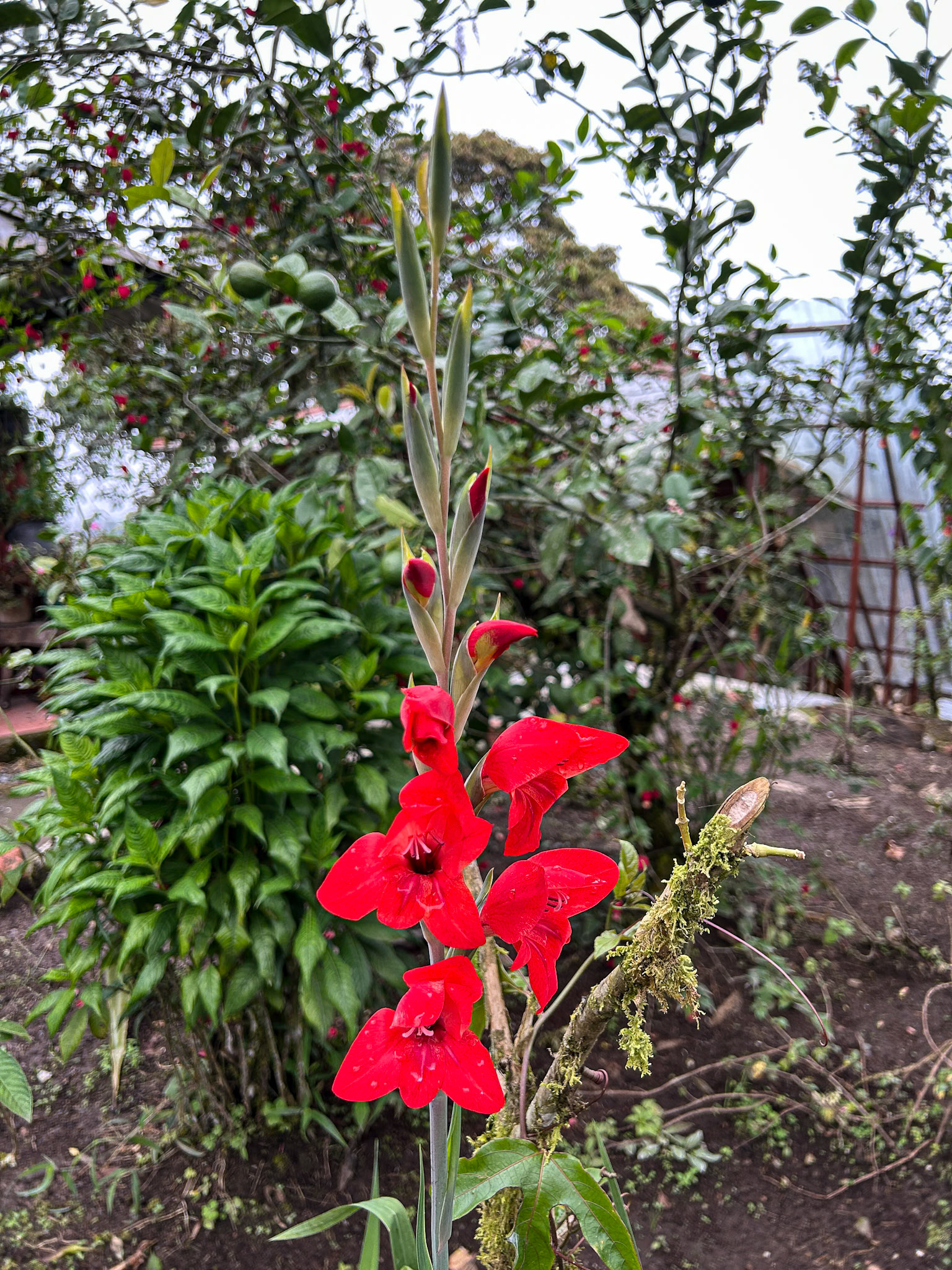 Refugio Paz de Las Aves
