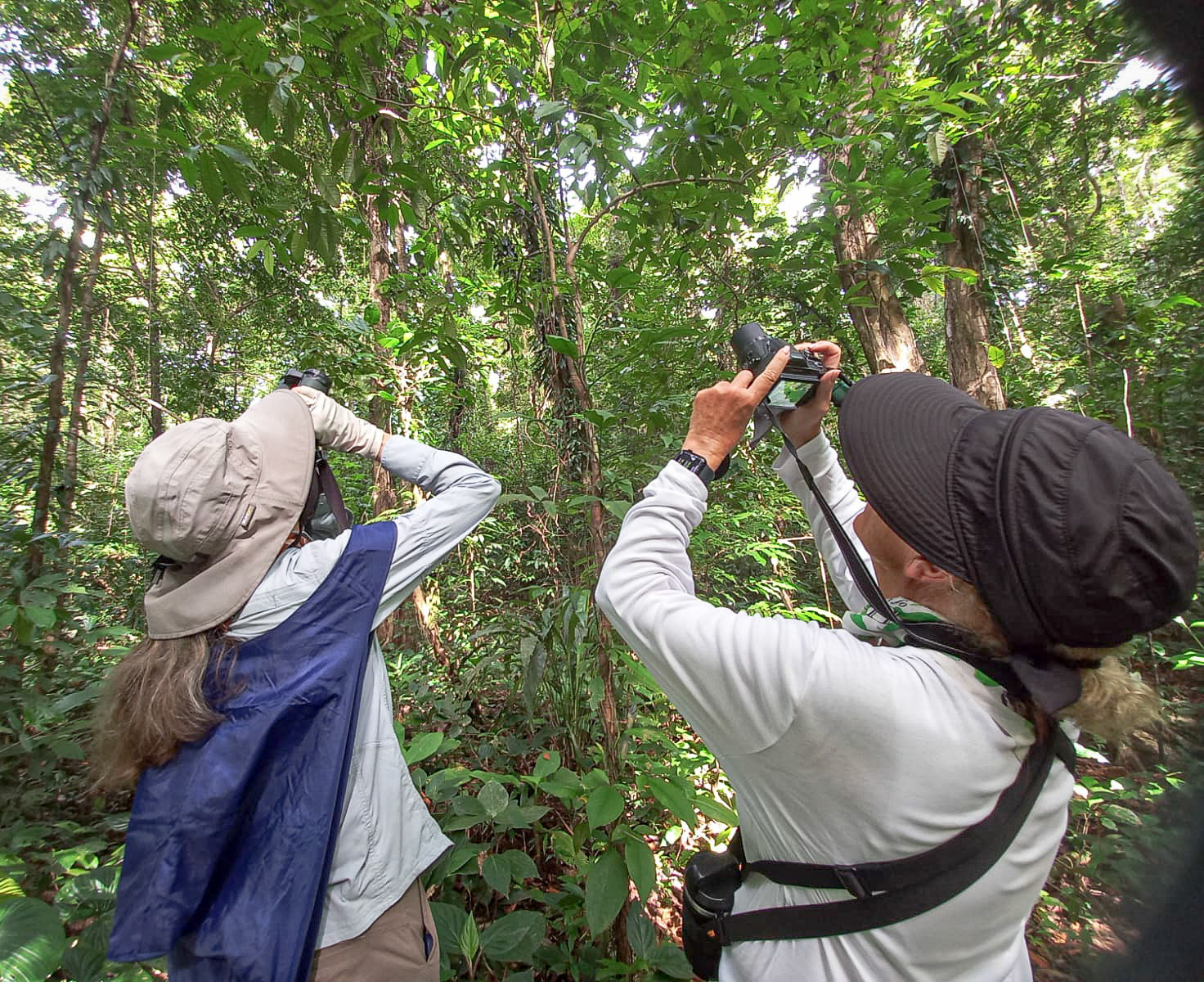 Common behavior for nearly 3 weeks of birding.