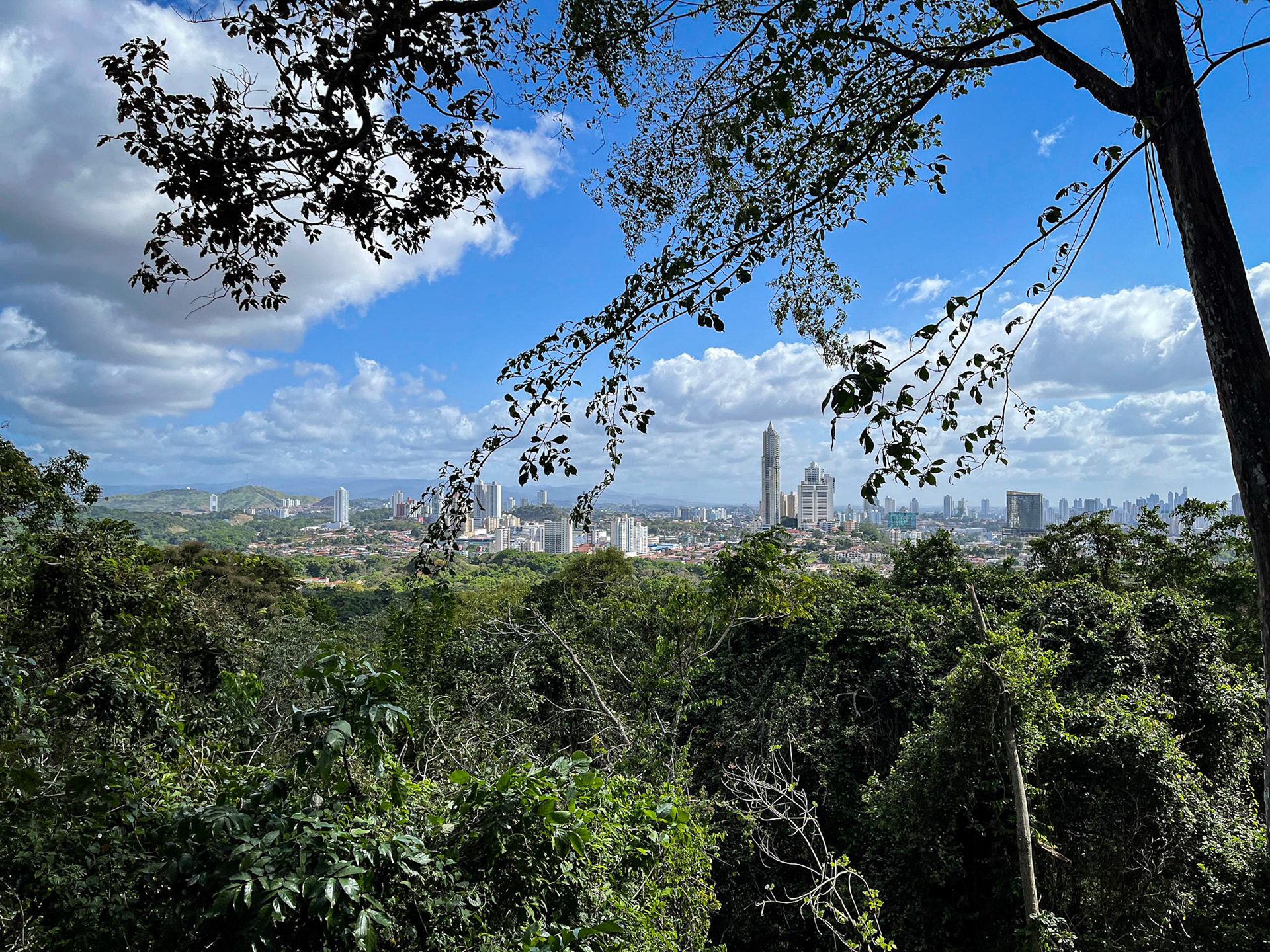 From the highest point in Metropolitan Park (and in Panama City, for that matter)