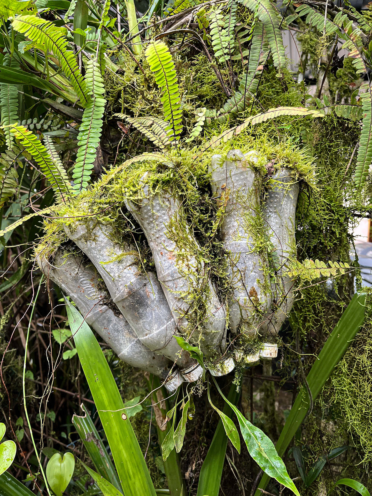 Recycled Pop Bottles.