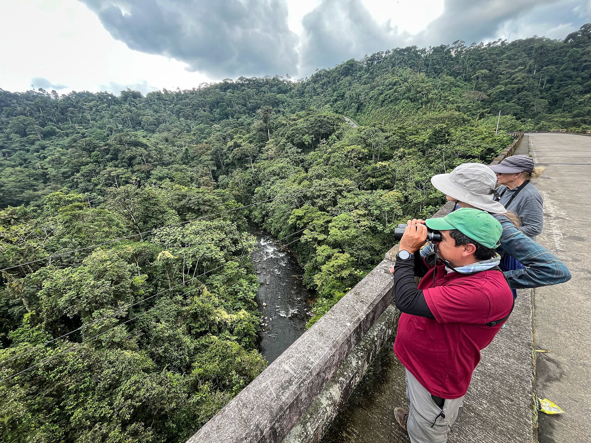 Birding a Highway Bridge