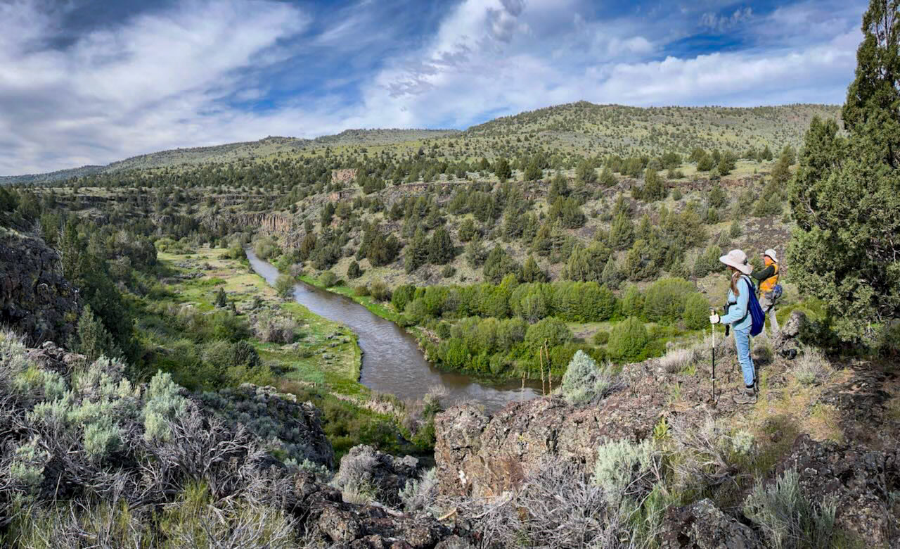 Blitzen River Trail Overlook
