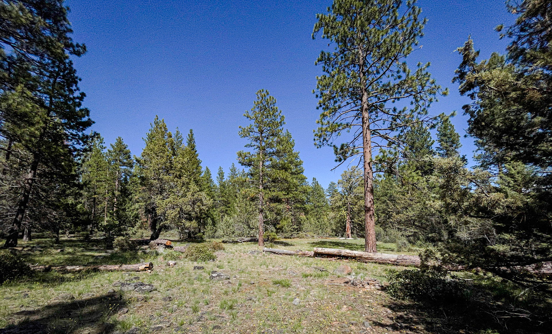Our view from chairs at Juanita Lake, campsite #8