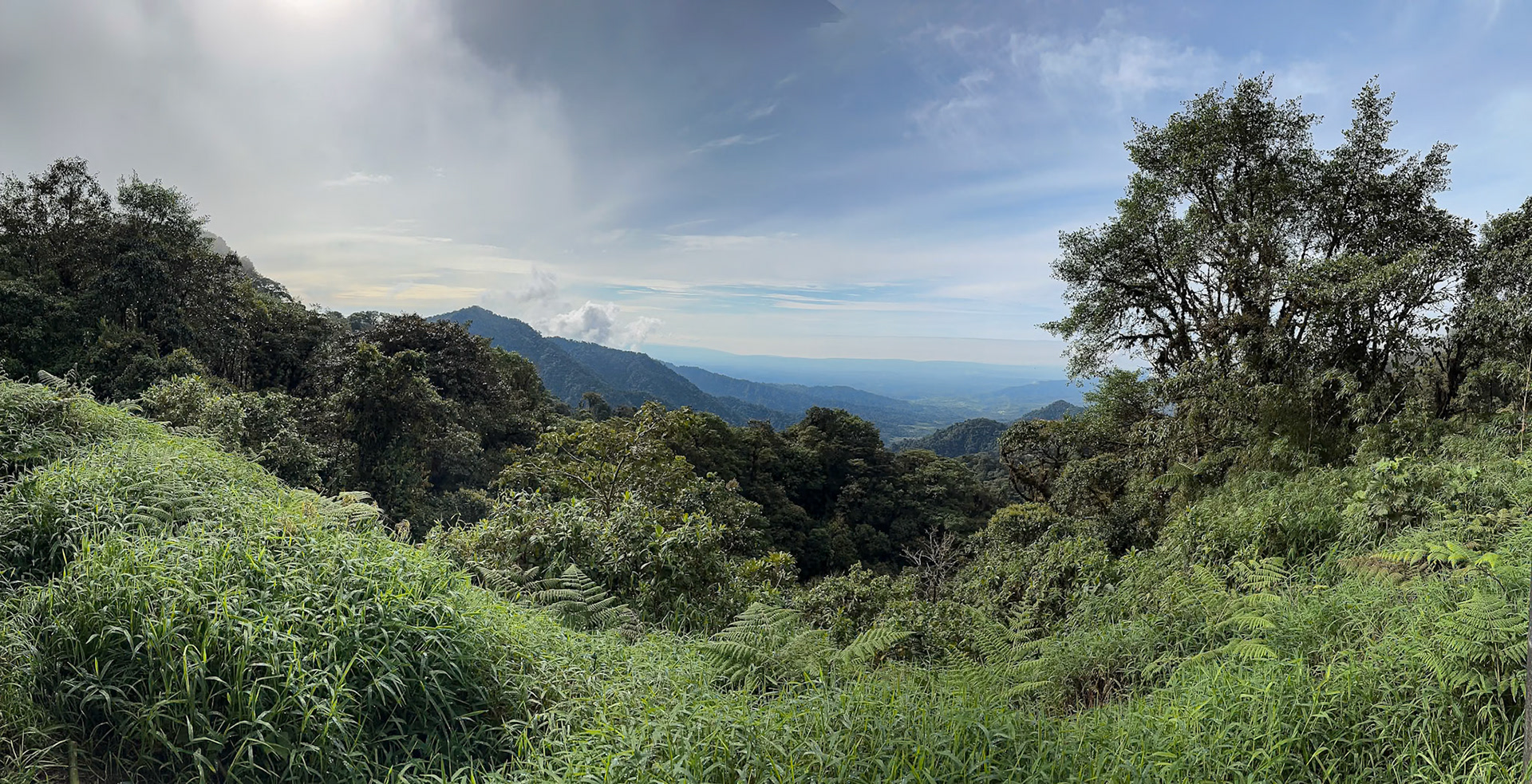 Common habitat on the Eastern Slopes of the Andes