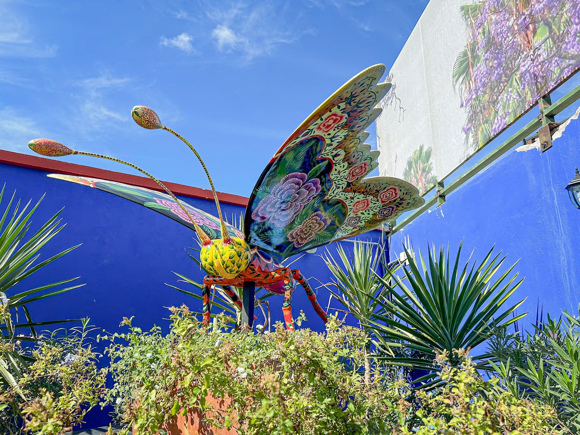 Frieda's Garden Exhibit