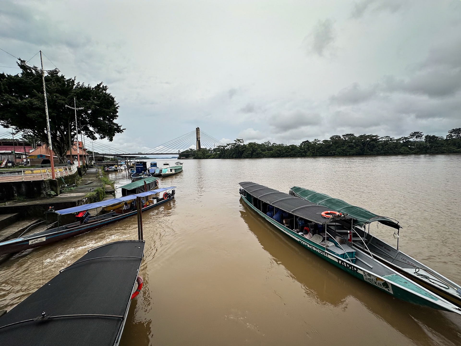 Coca: Gateway to the Amazon Basin