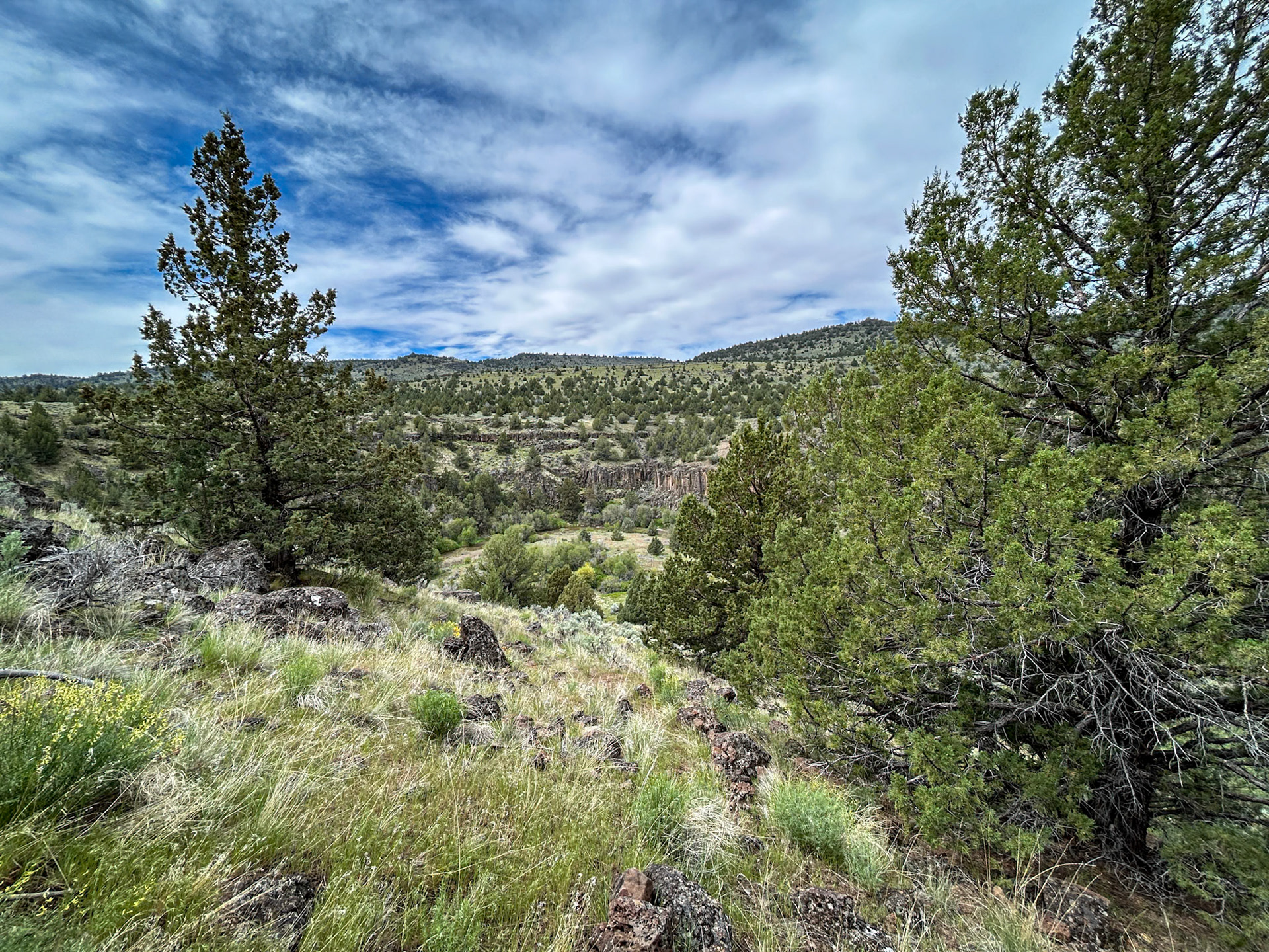 Along the Blitzen River Trail
