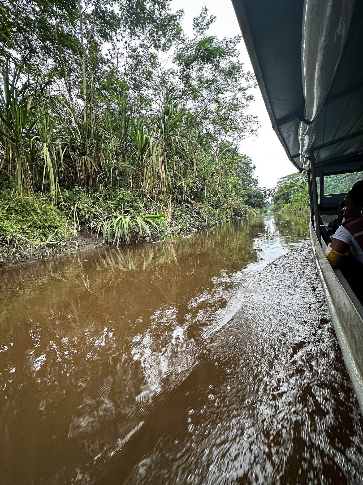 Motoring along the Napo River