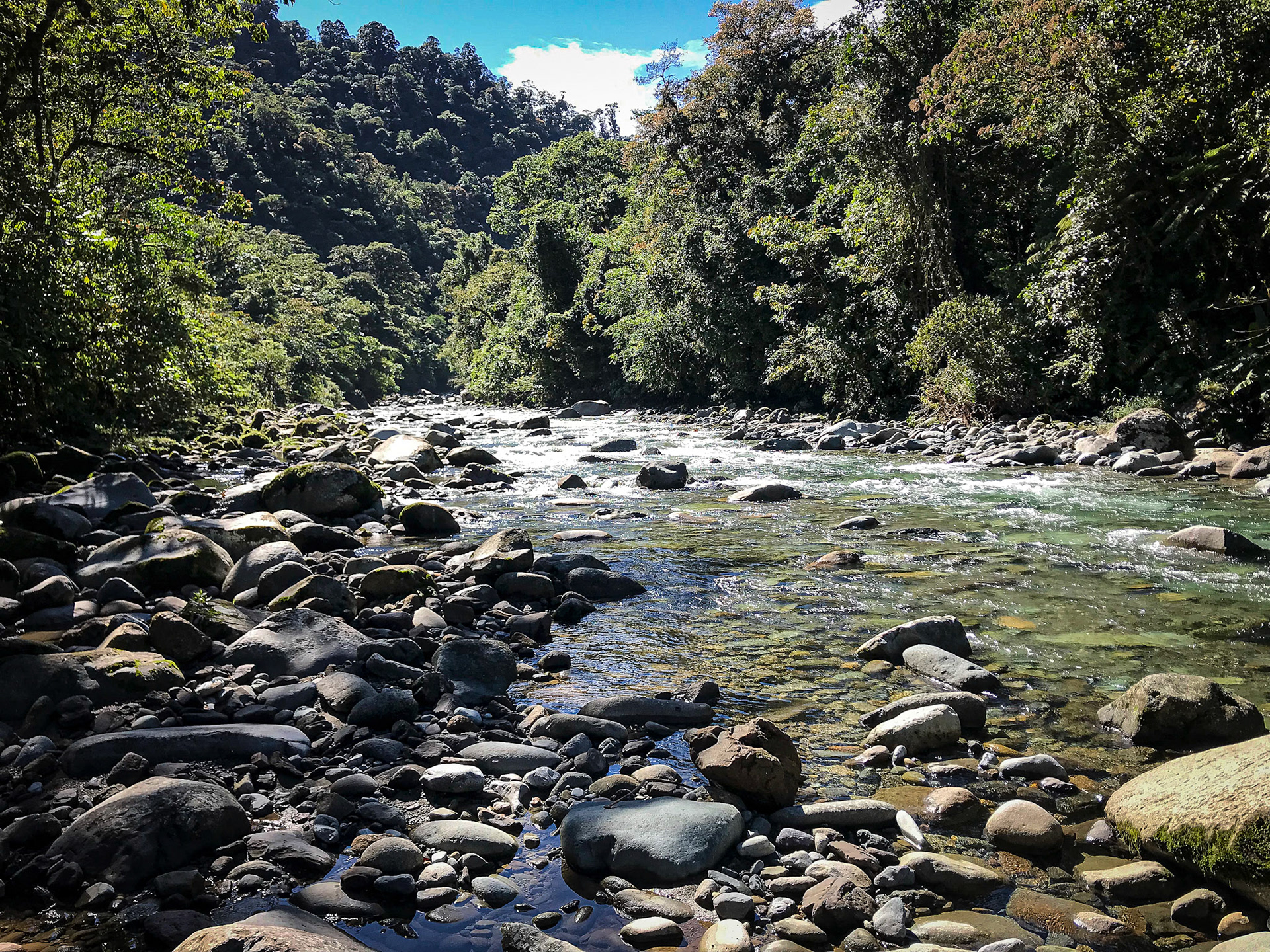 Tapanti National Park - Orosi