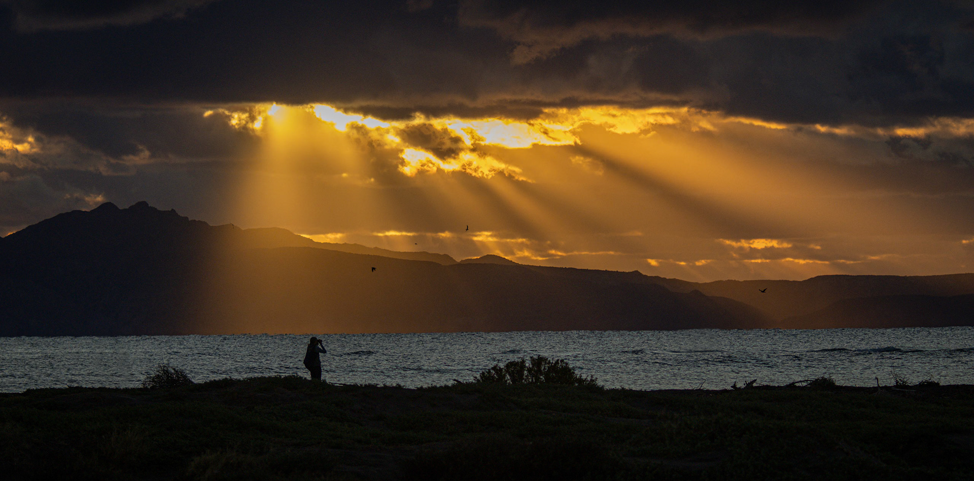 The Oasis Hotel - Birding at sunrise