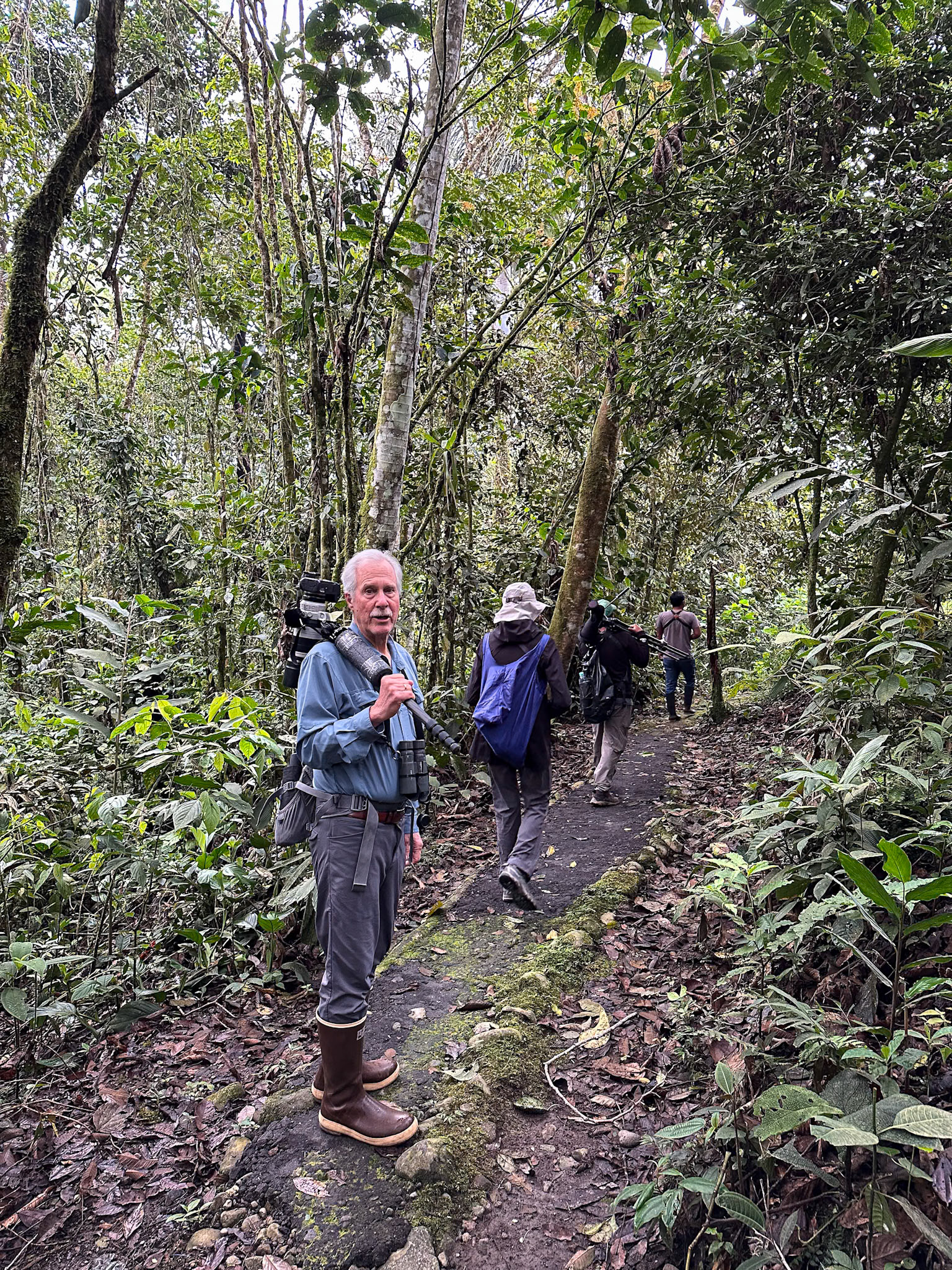 Birding the Wild Sumaco forest