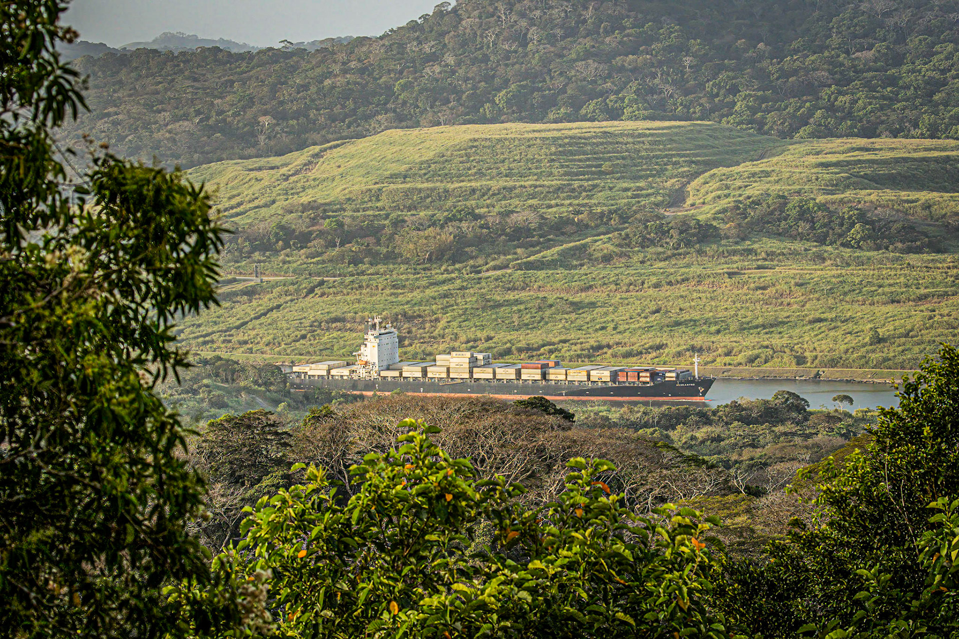Container ship observed from atop the Canopy Tower.