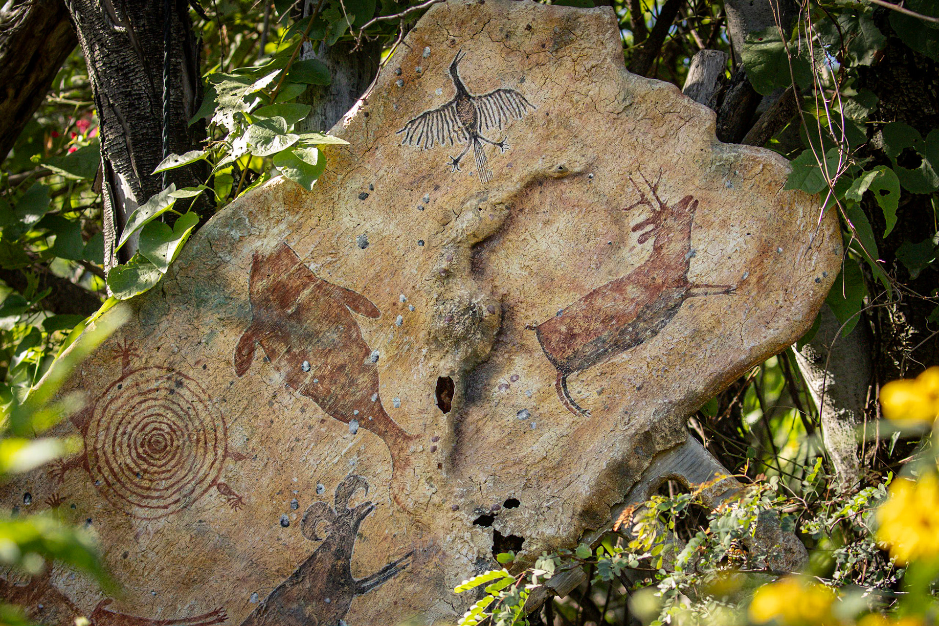 Petroglyph Reproductions