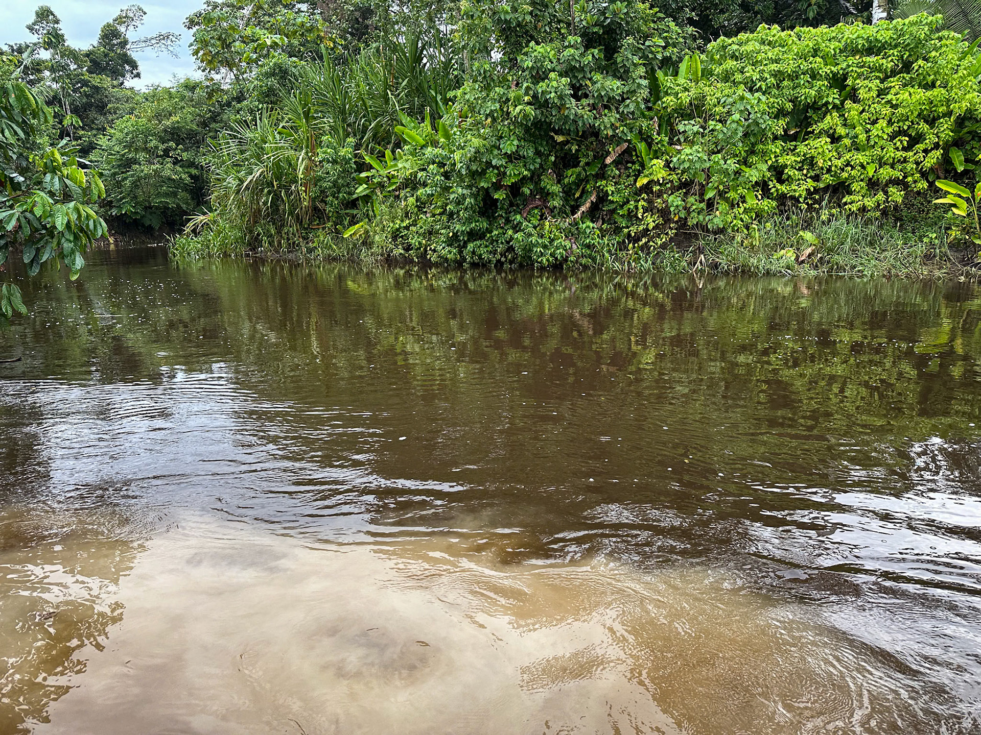Sani River: Where black meets muddy.