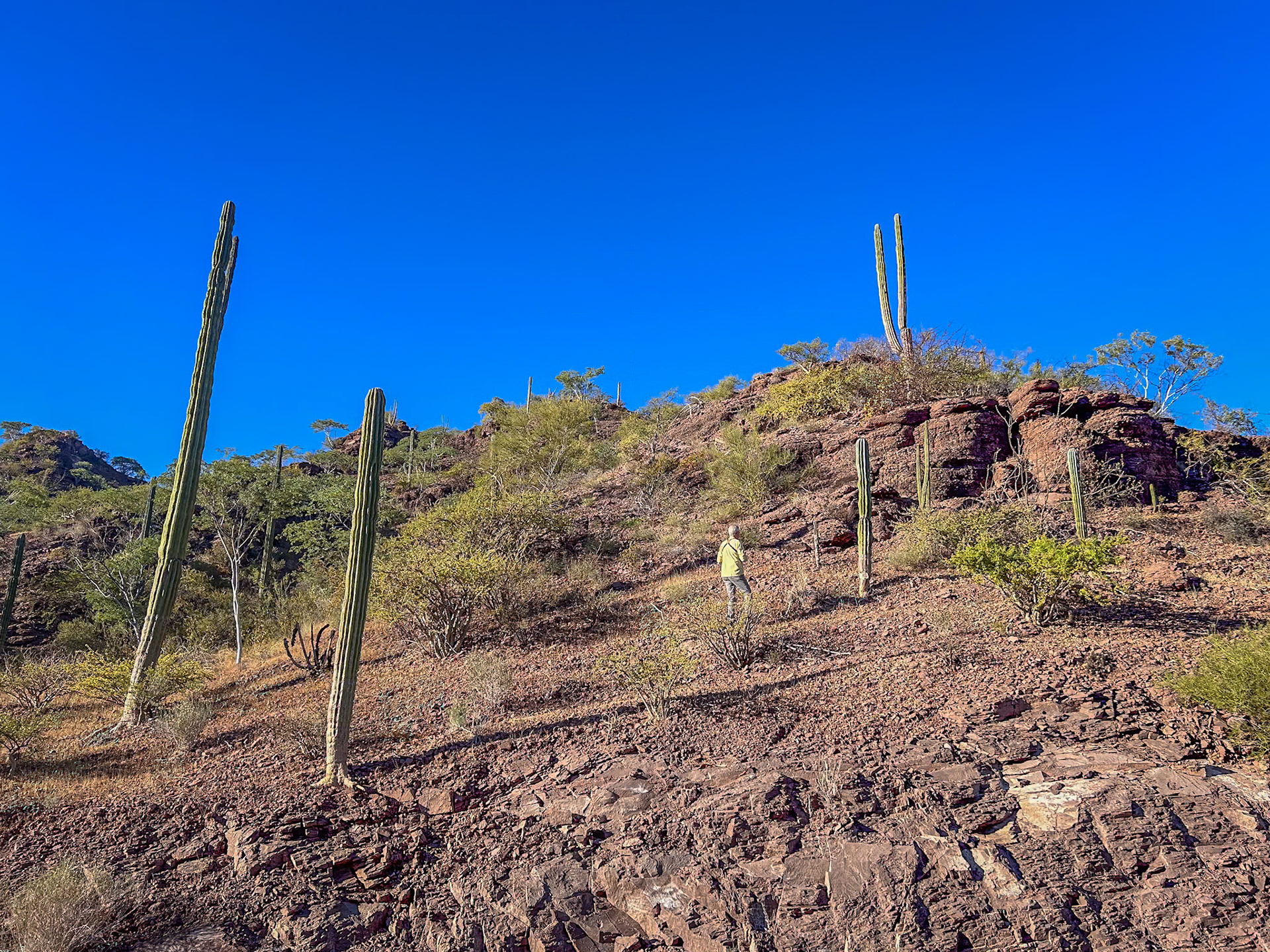 Sierra de la Giganta mountains