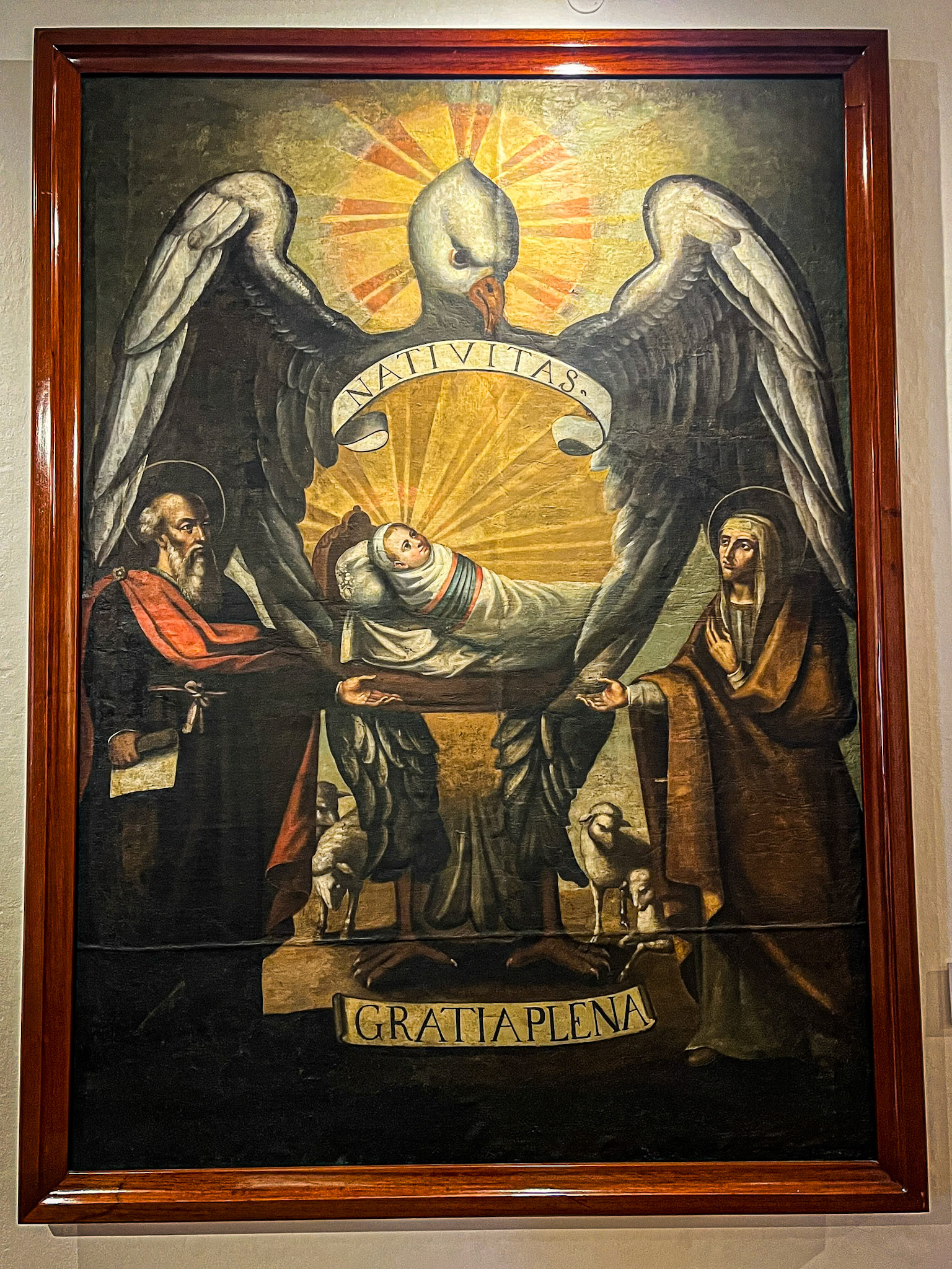 Birds are Everywhere!