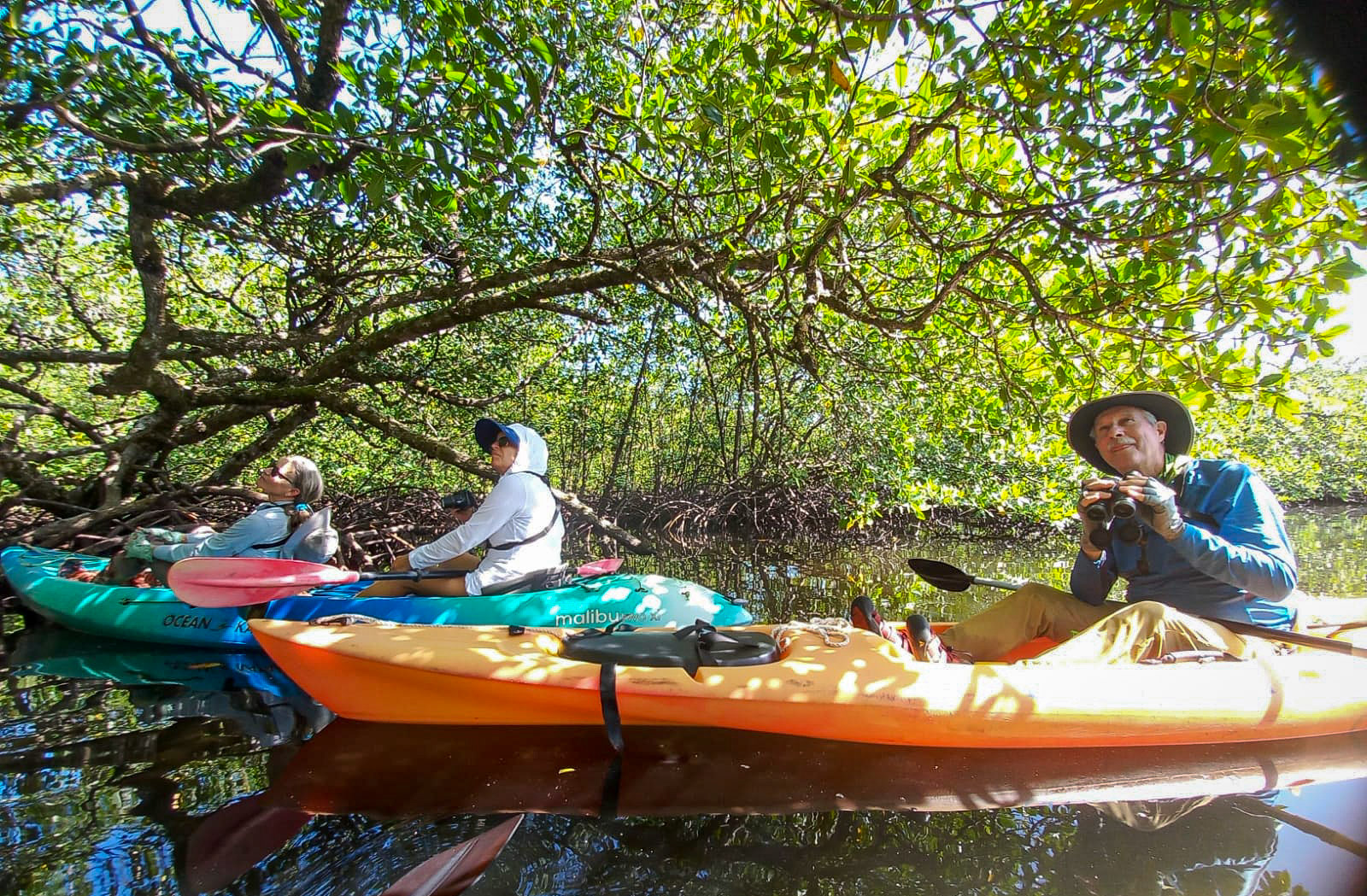 Kayak birding for the Mangrove Cuckoo. Found it, too!