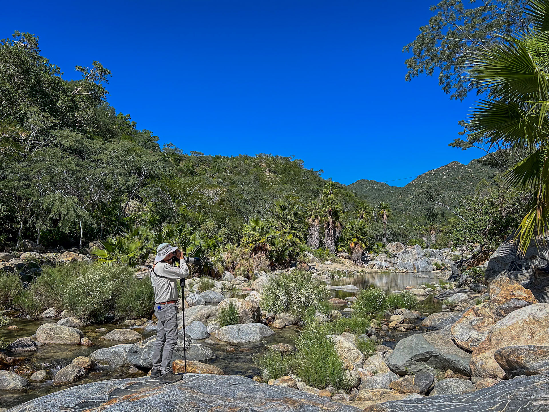 Nick in the Reserva De La Biosfera Sierra La Laguna