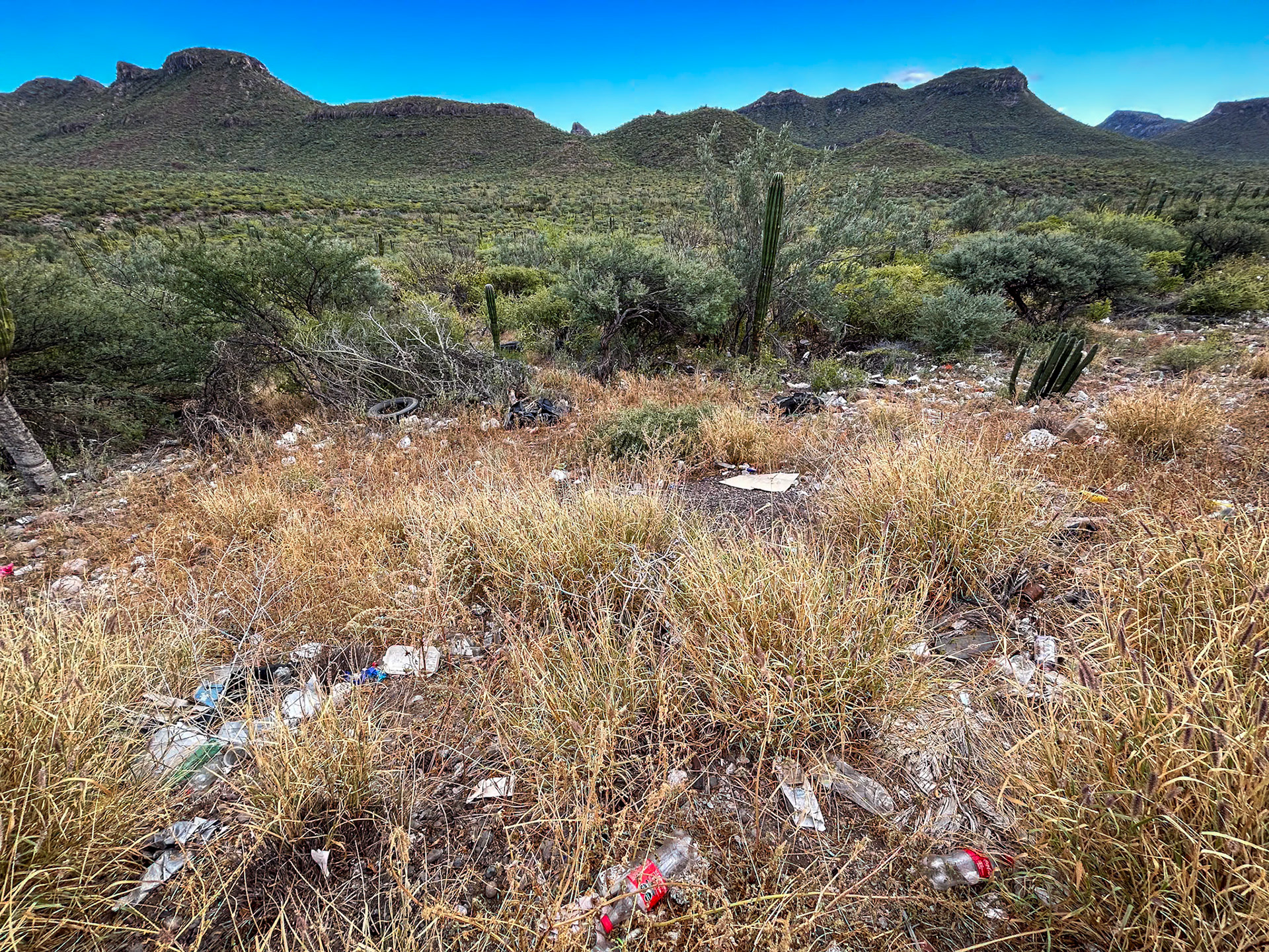 What's wrong with this picture?