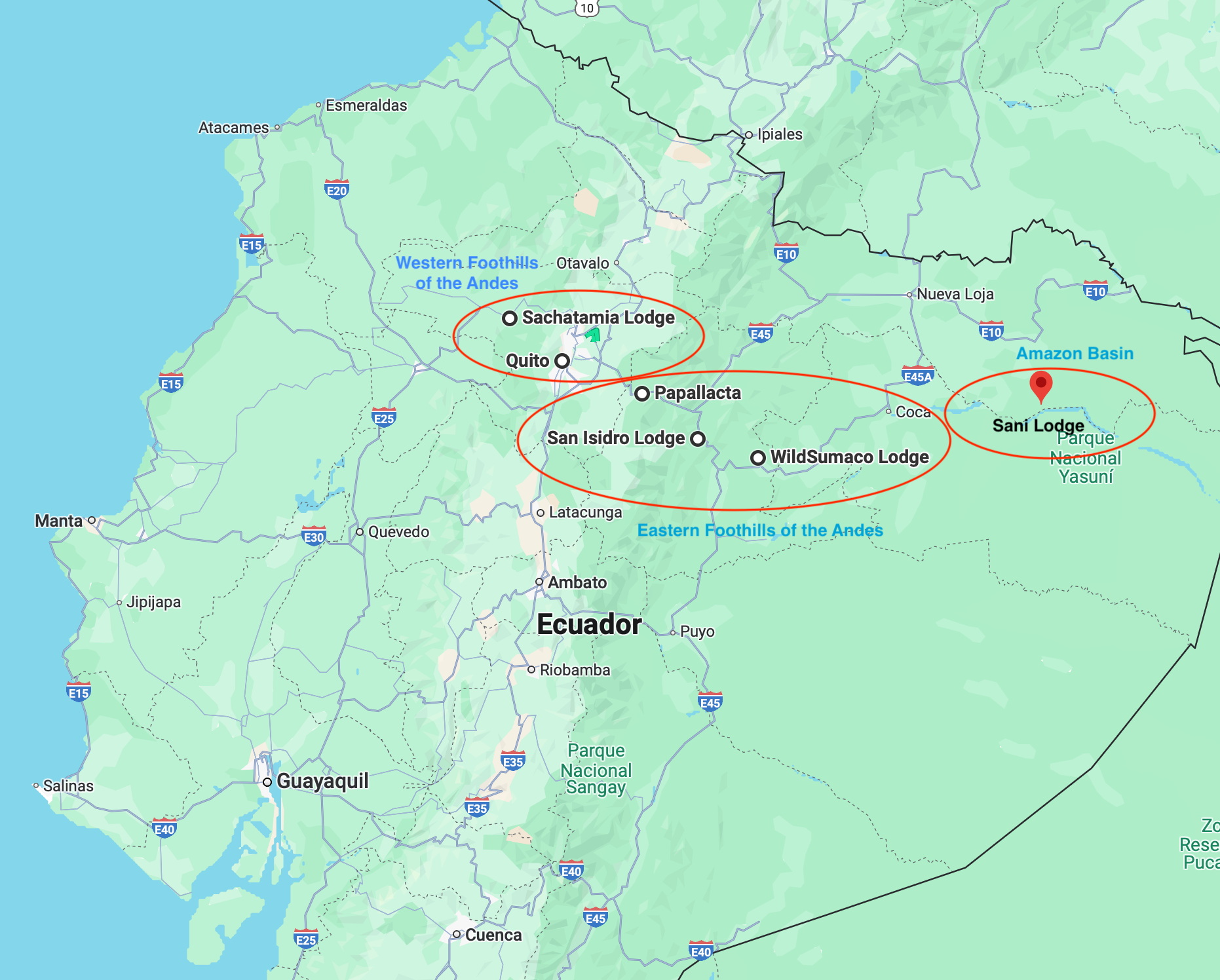 Birding the Eastern Foothills
