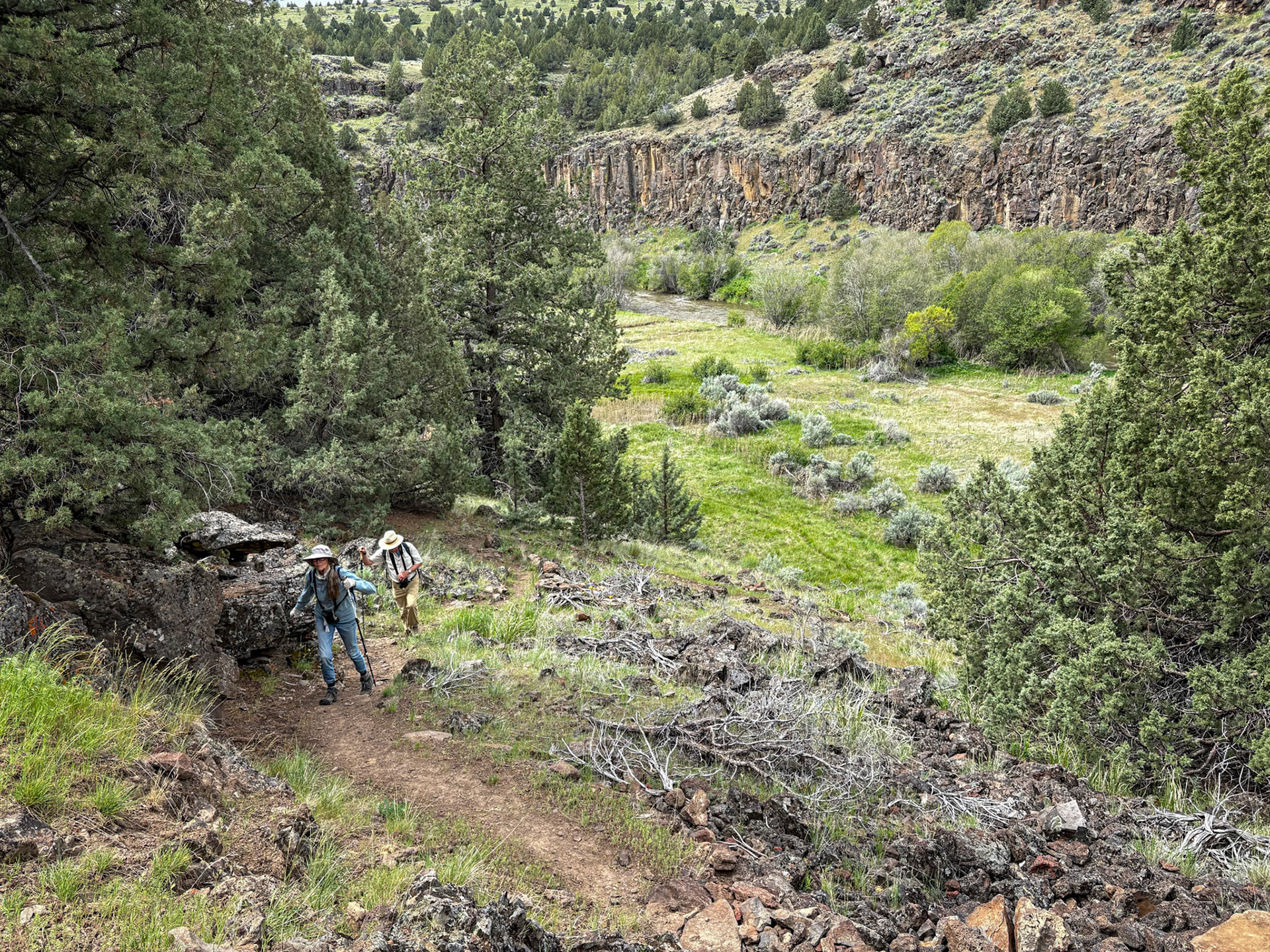 Blitzen River Trail (Yellow-breasted Chat viewing in the background)