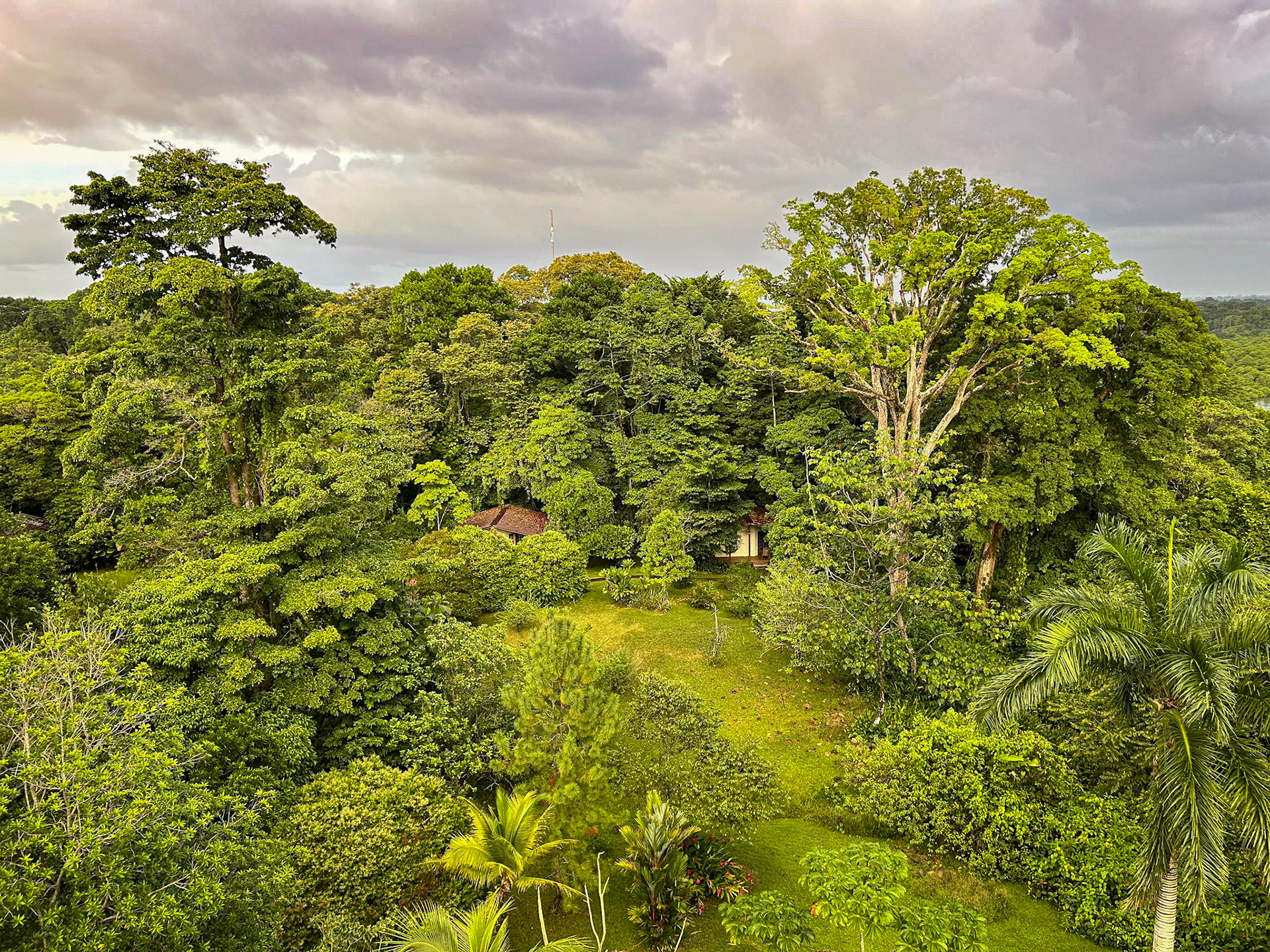 Nick's tiny Covid Cabana from the tower.