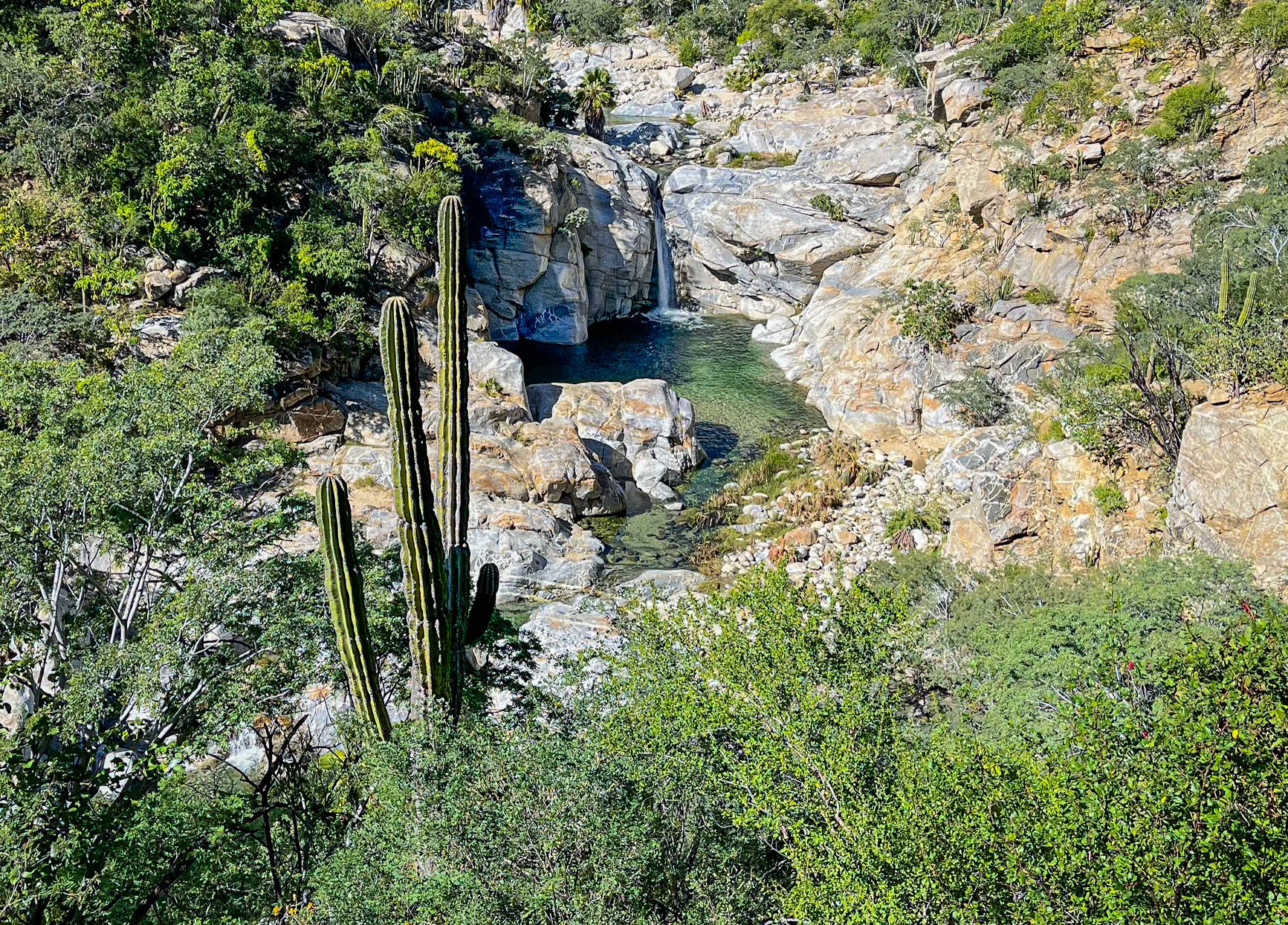 Reserva De La Biosfera Sierra La Laguna