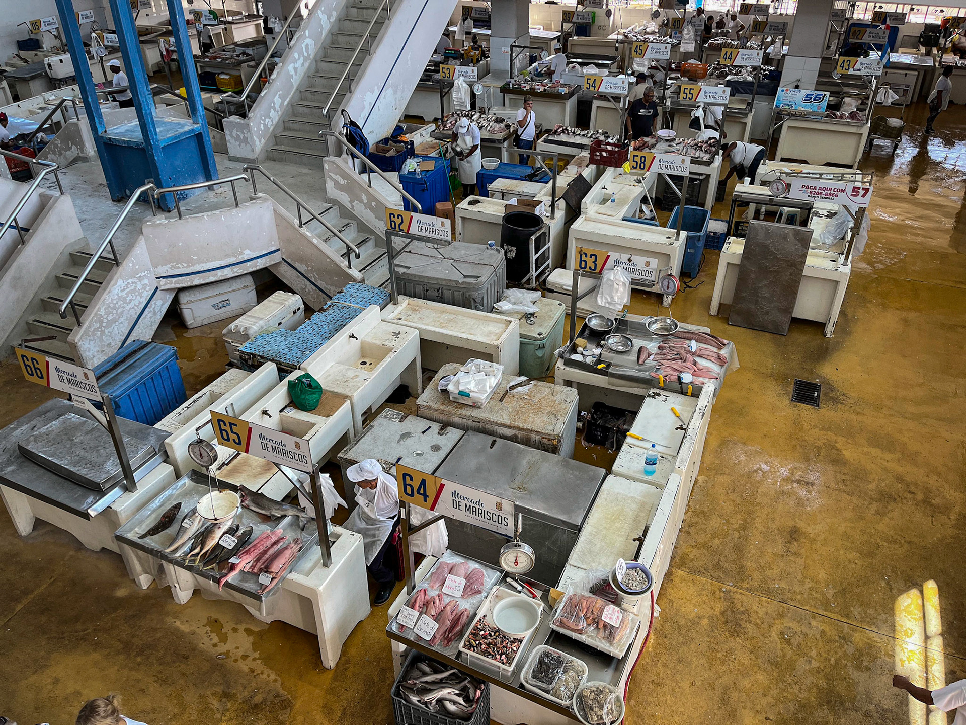 Public fish market (and more)