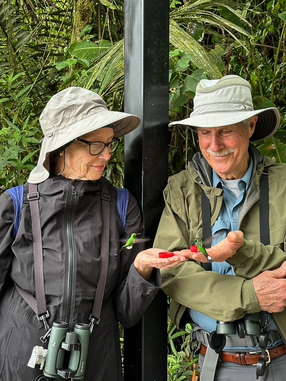 San Tadeo Birding Garden