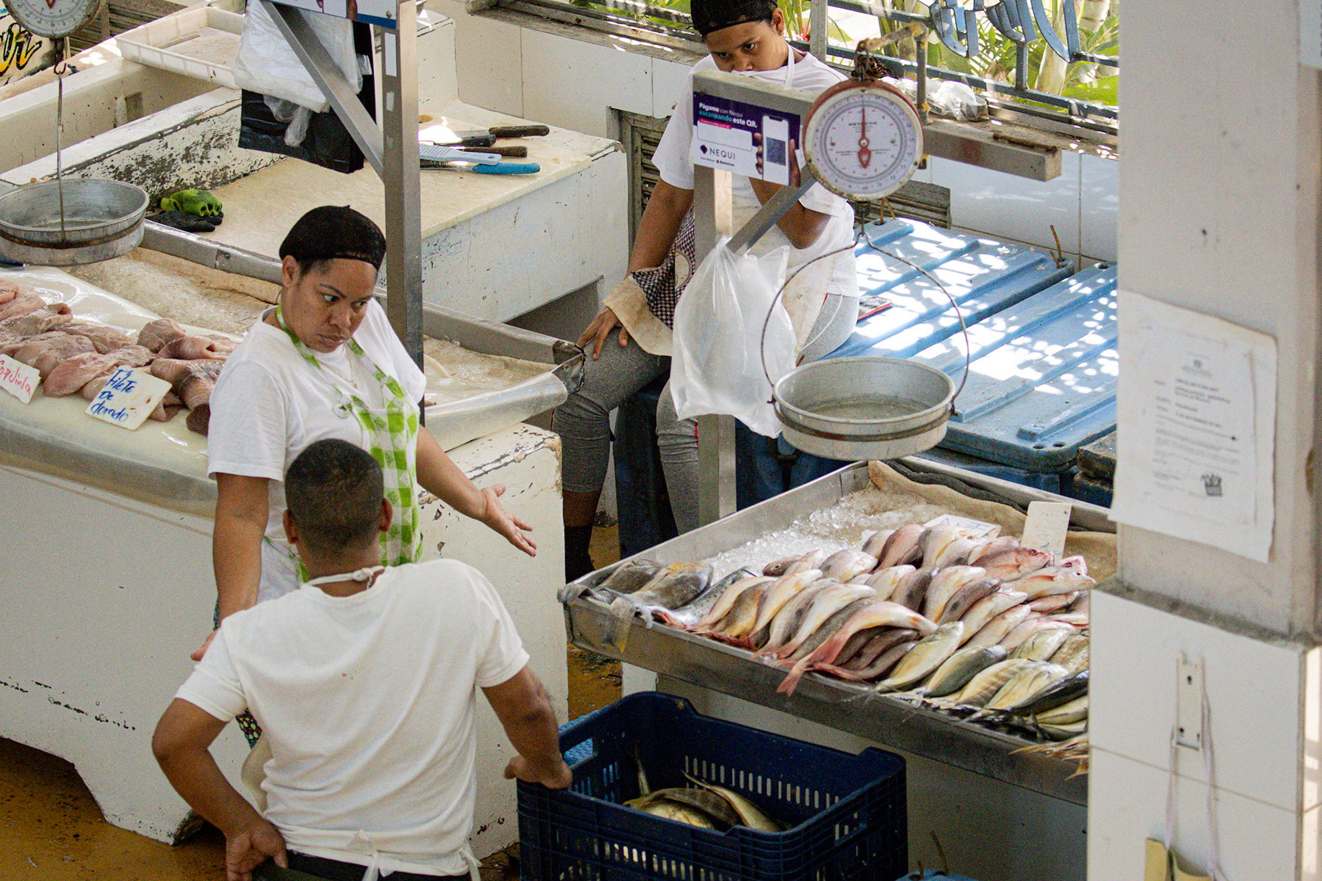 Public fish market (and more)