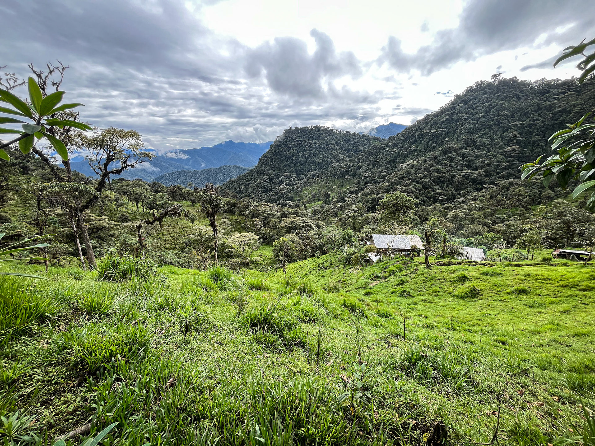 The valley beneath Guaycapi Lodge
