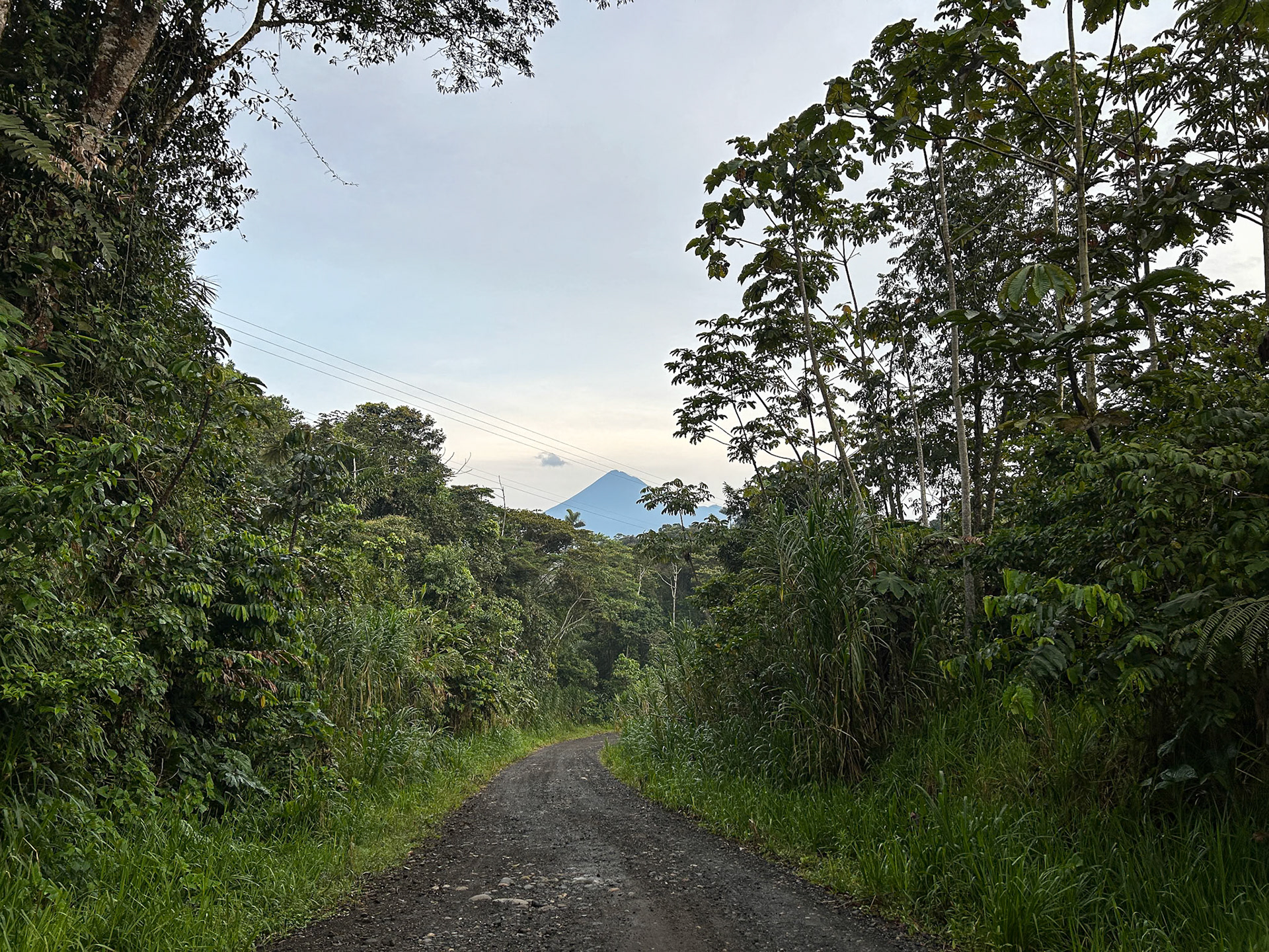 Sumaco Volcano