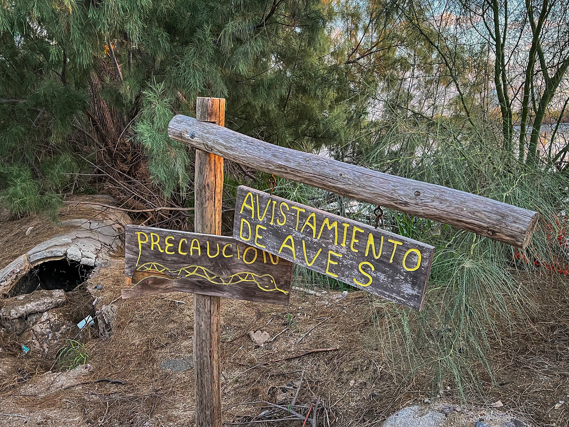 Water Treatment Lagoons