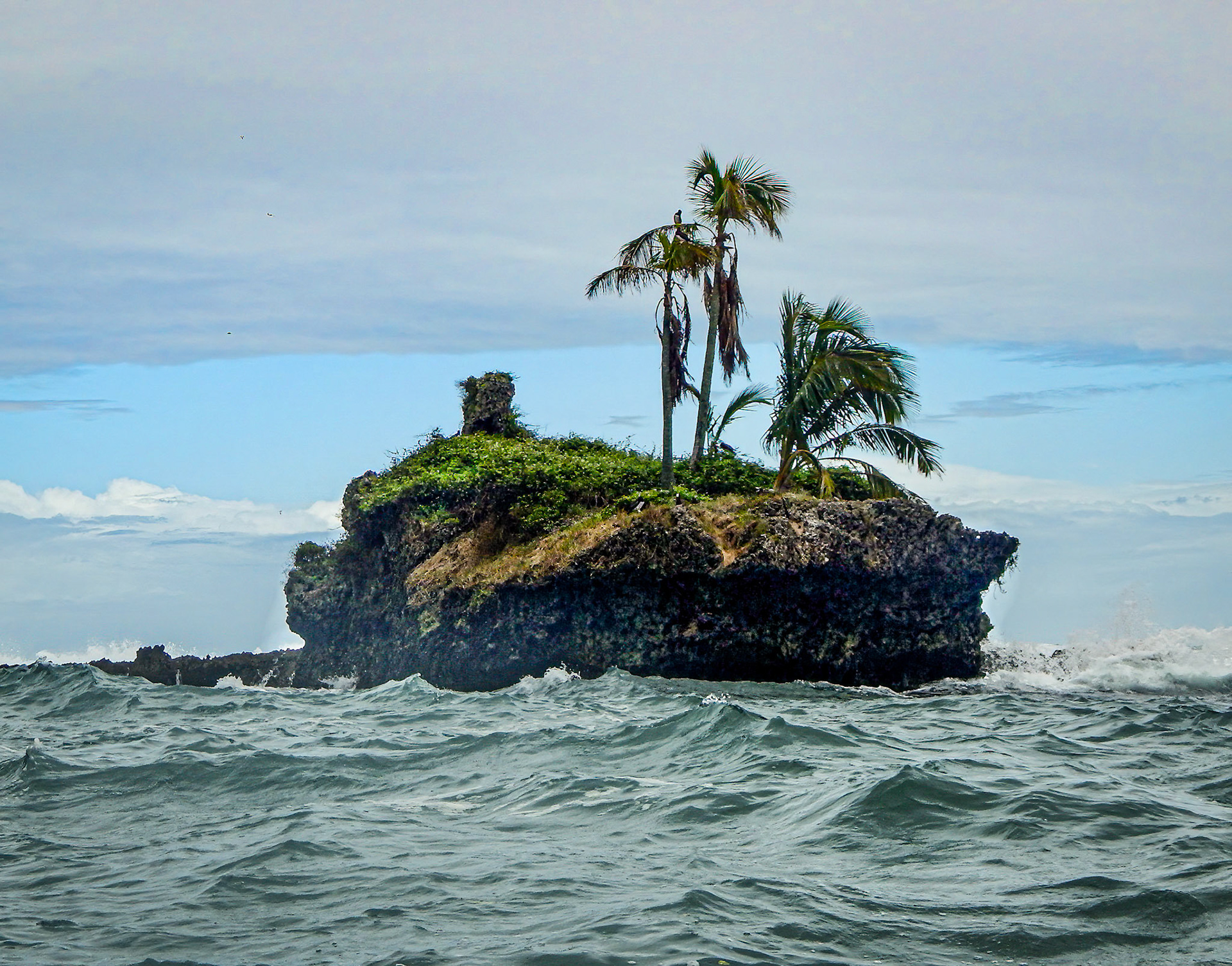 2-3" choppy conditions at "Bird Island." See the Booby up there?