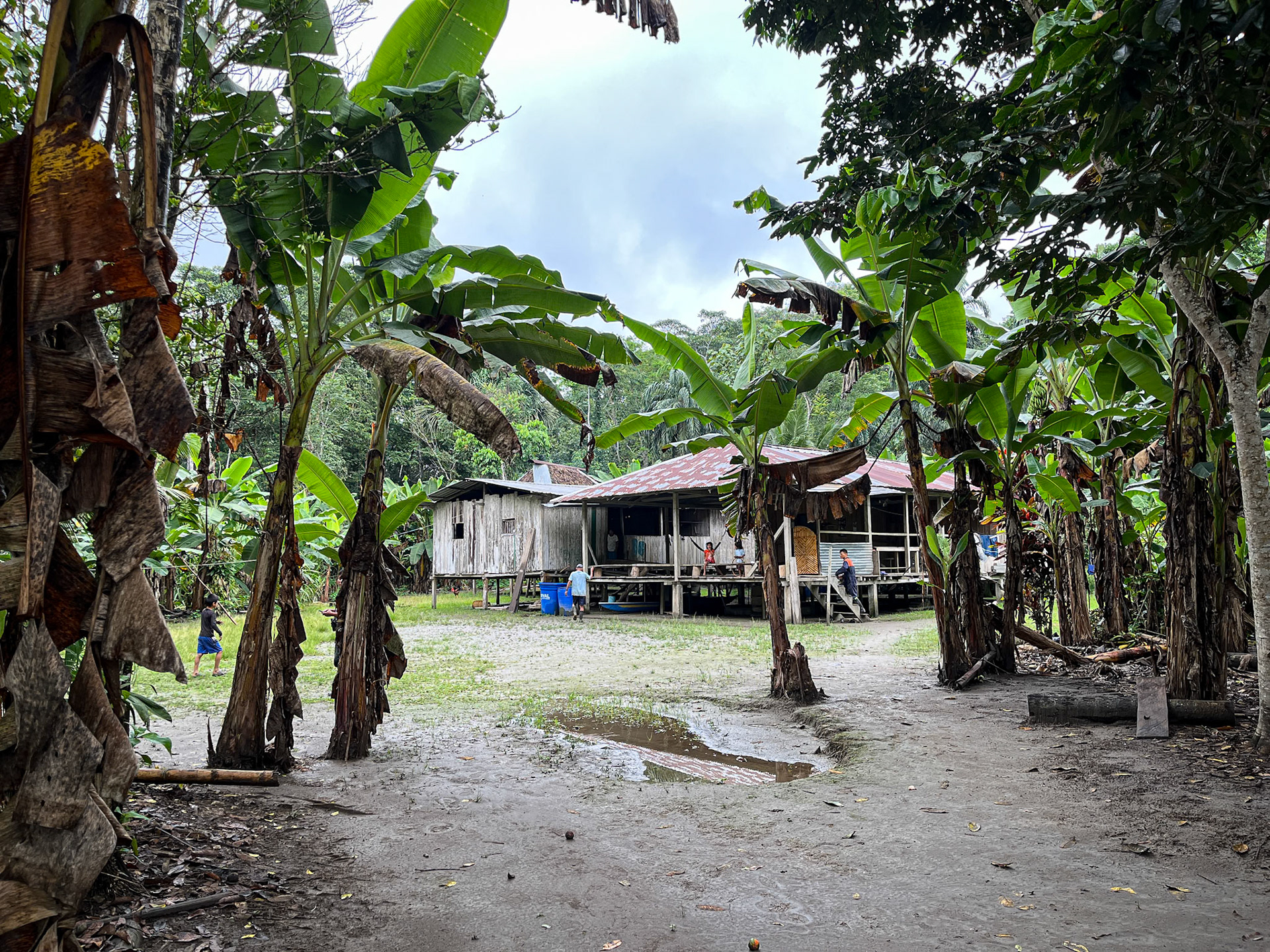 Lunch Spot Along the Napo Rivcer