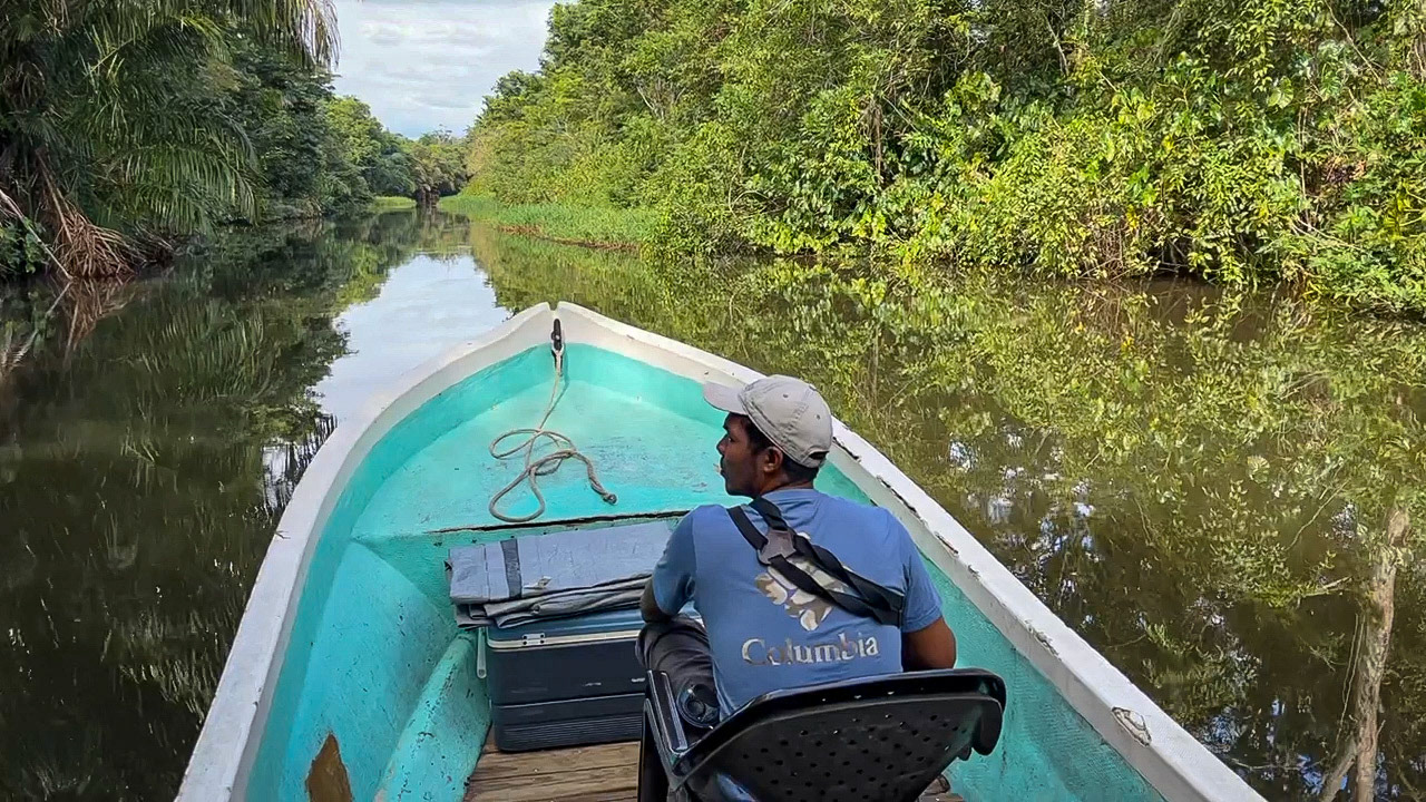 Birding the Chiquita channel with Miguel.