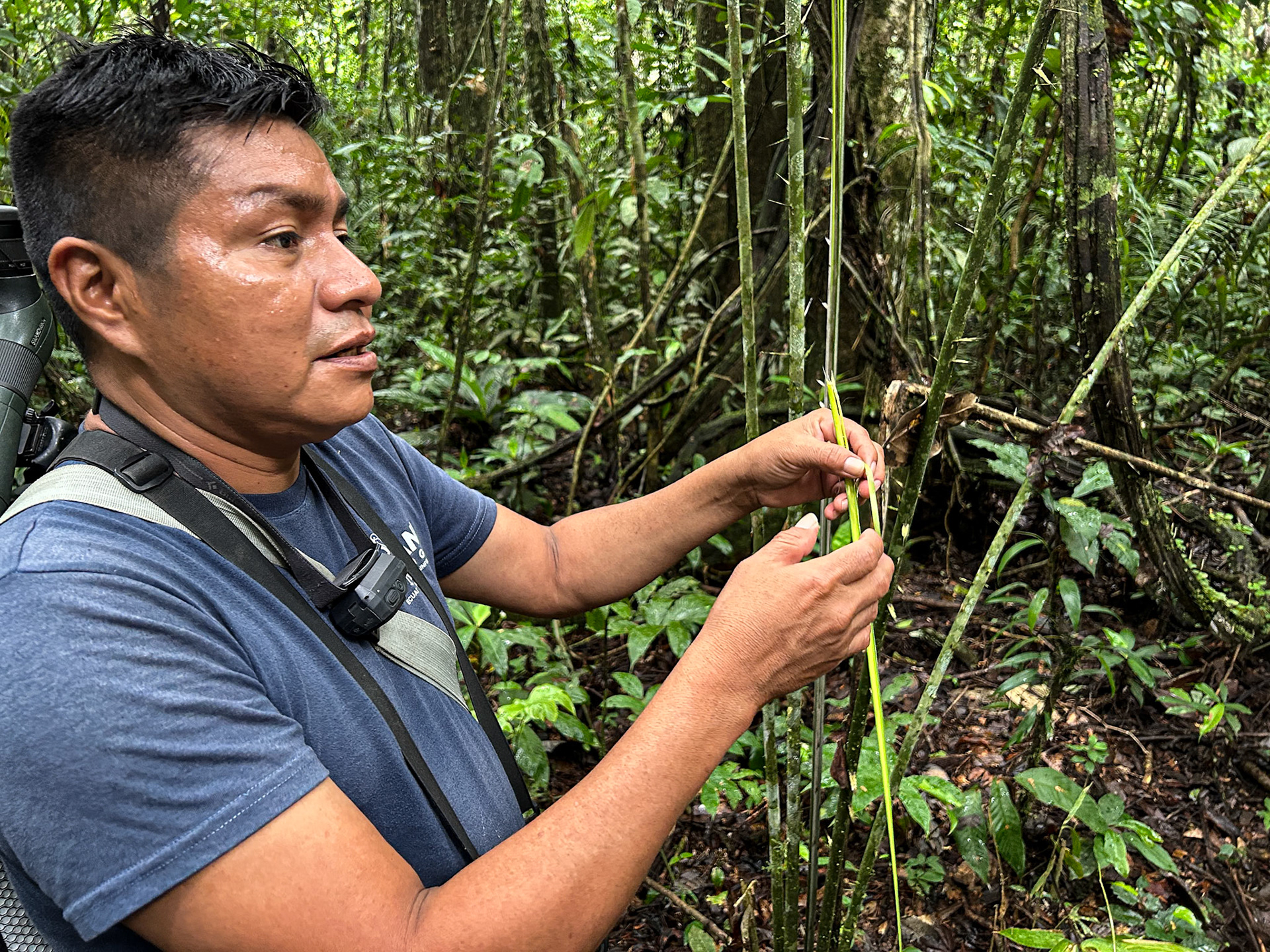 Our Sani Guide, Carlos