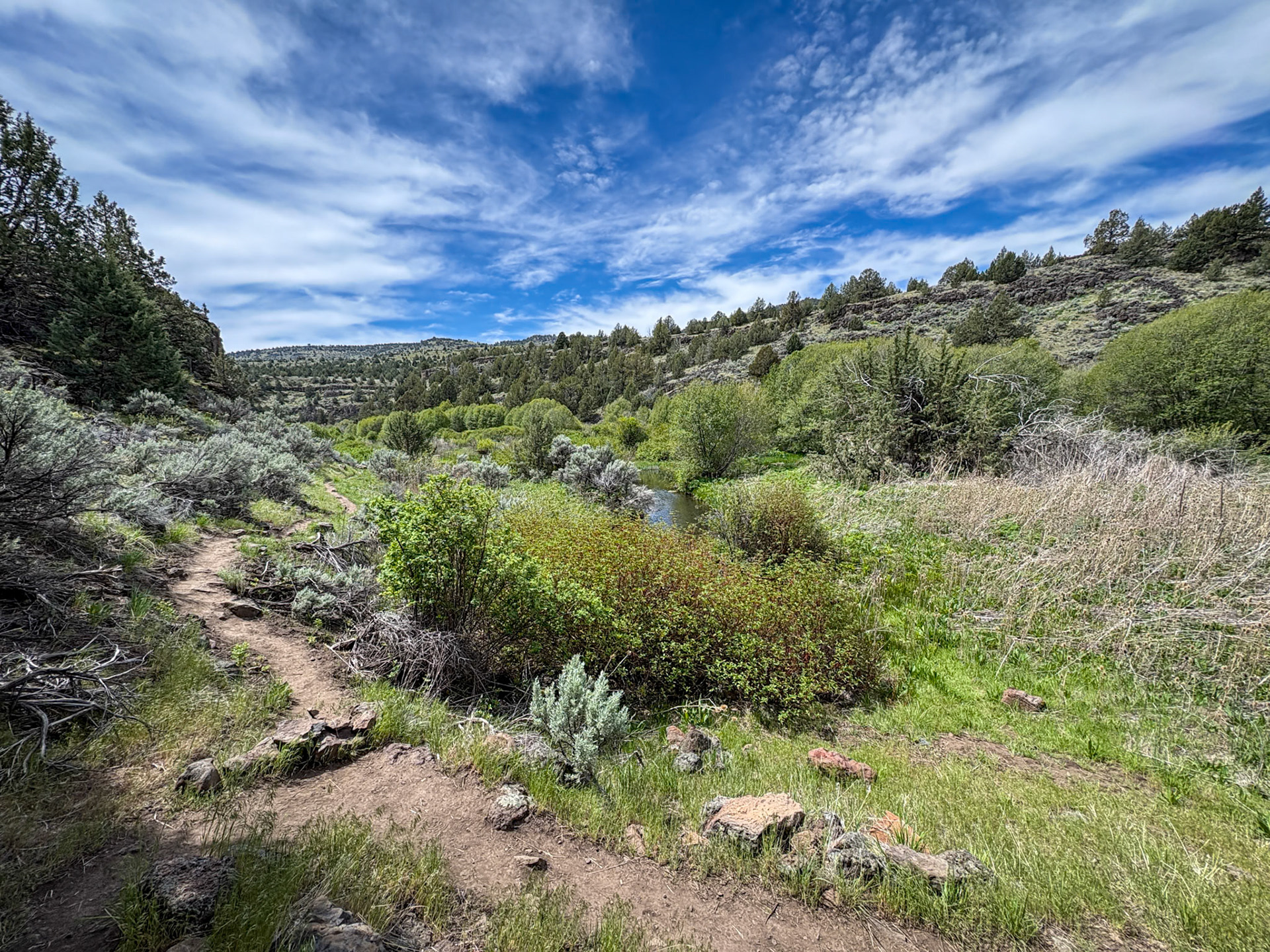 Along the Blitzen River Trail (detour from the seasonally inaccessible section)