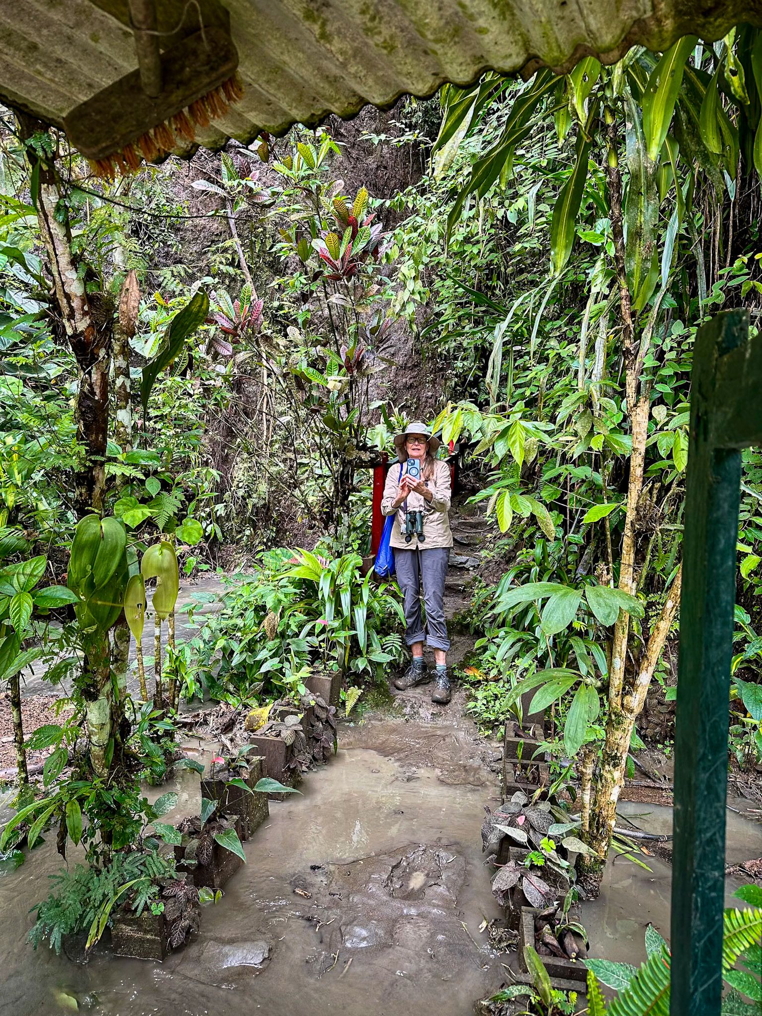 The gate to the Oilbird Cave