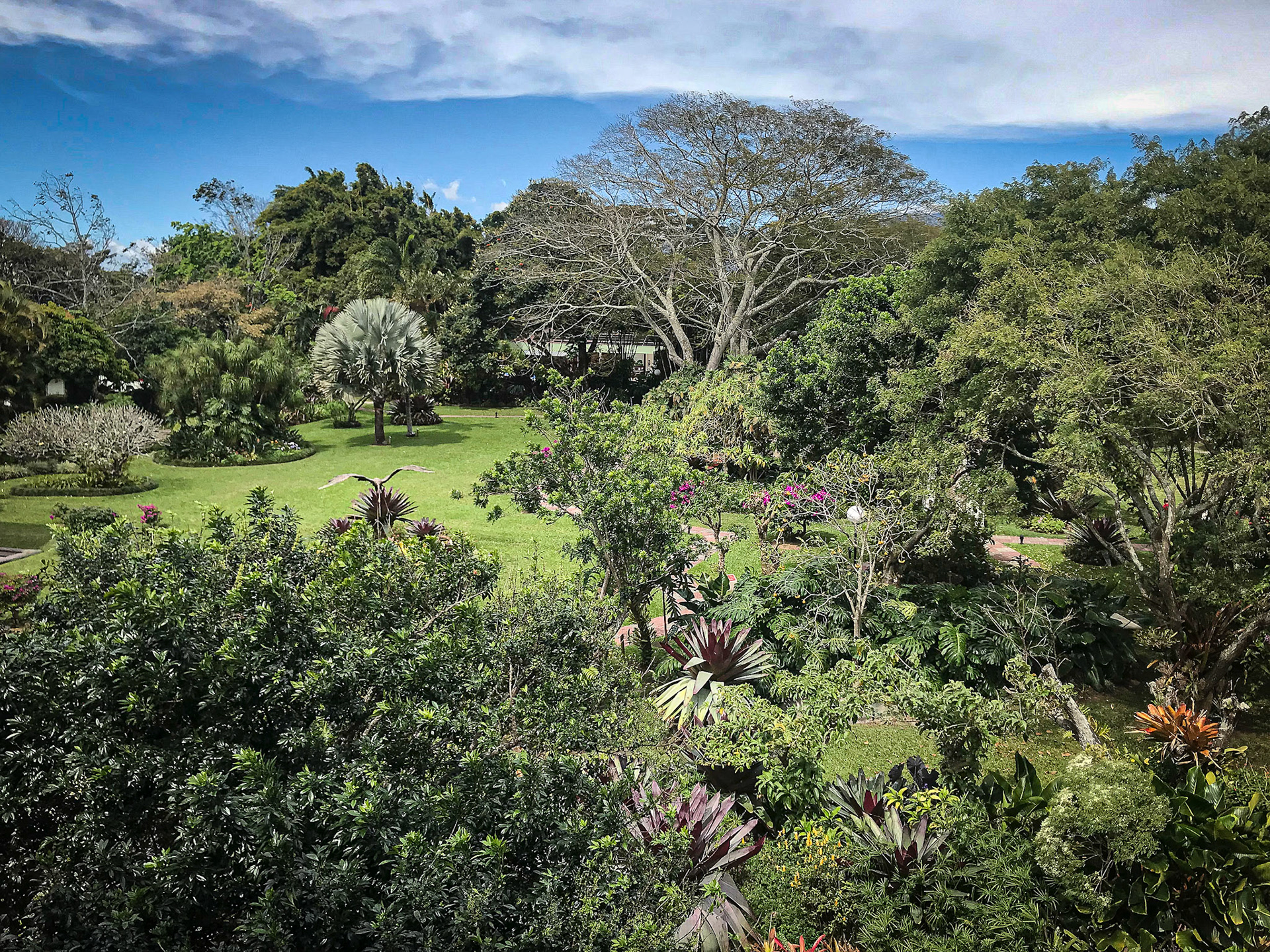 10 Acre Garden, Hotel Bougainvillea