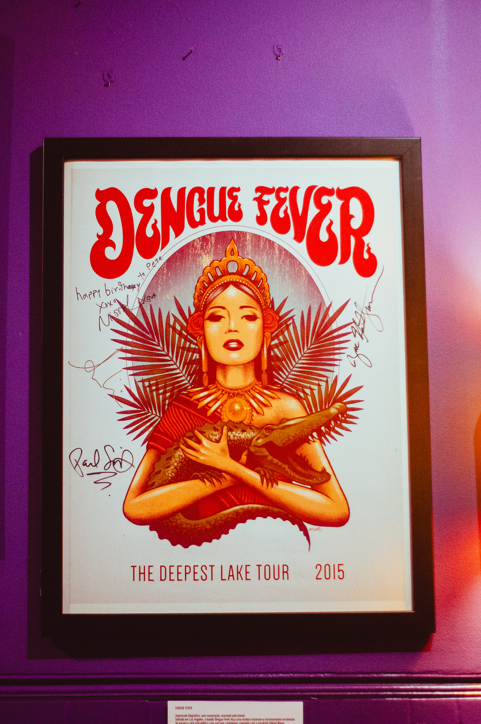 Dengue Fever 