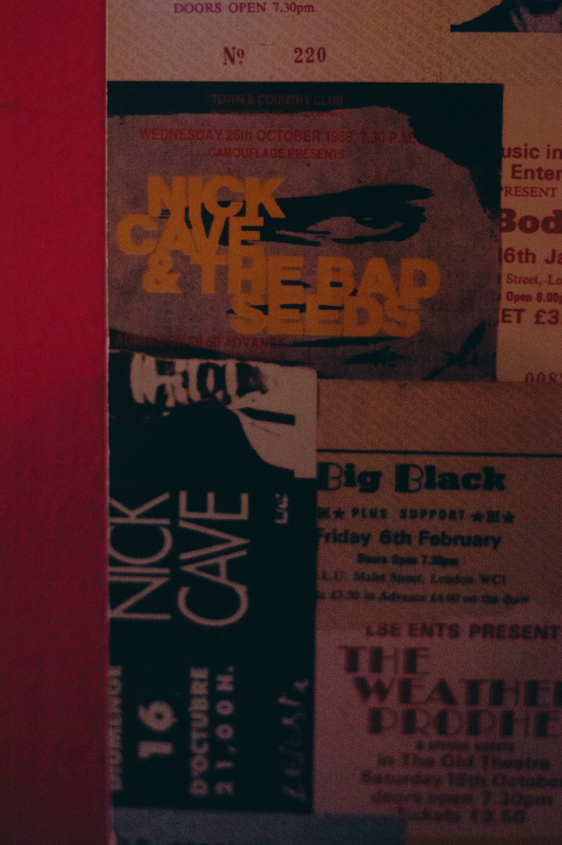 Nick Cave and the Bad Seeds